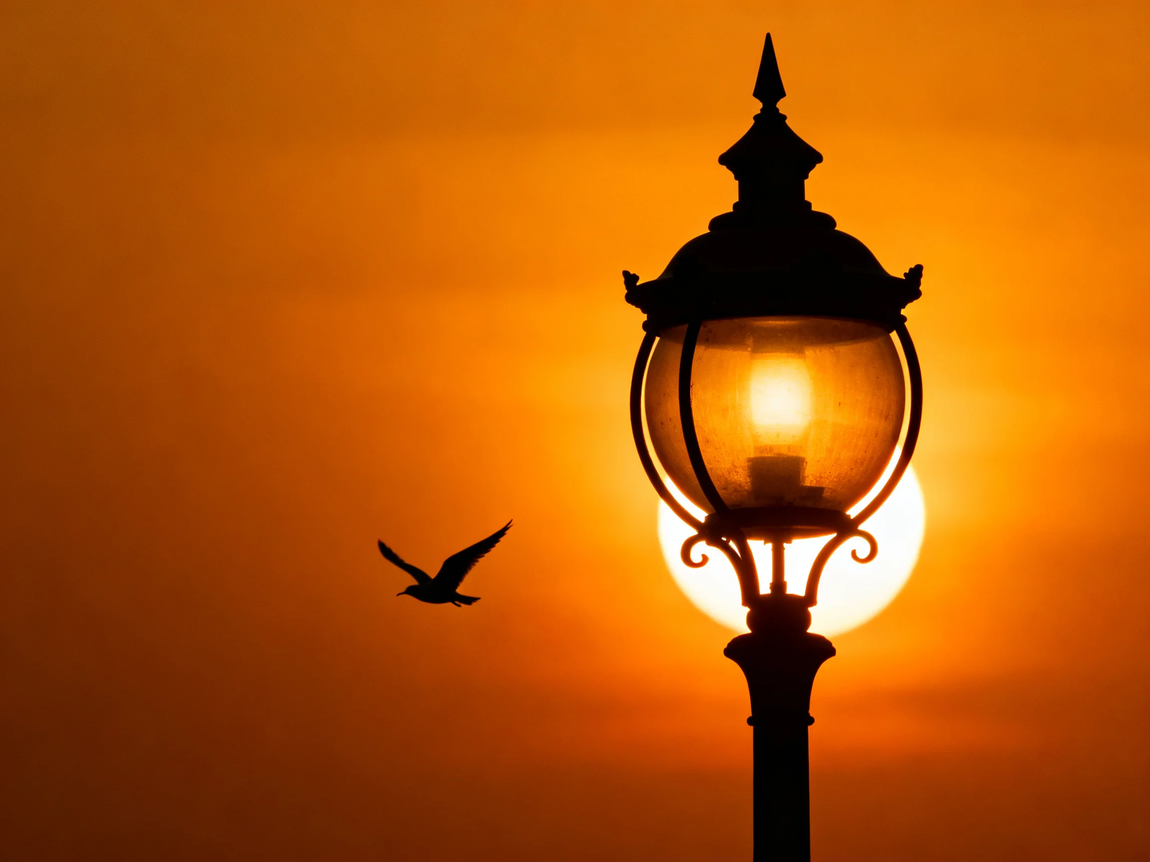 Ornate street lamp silhouette with bird against orange sunset