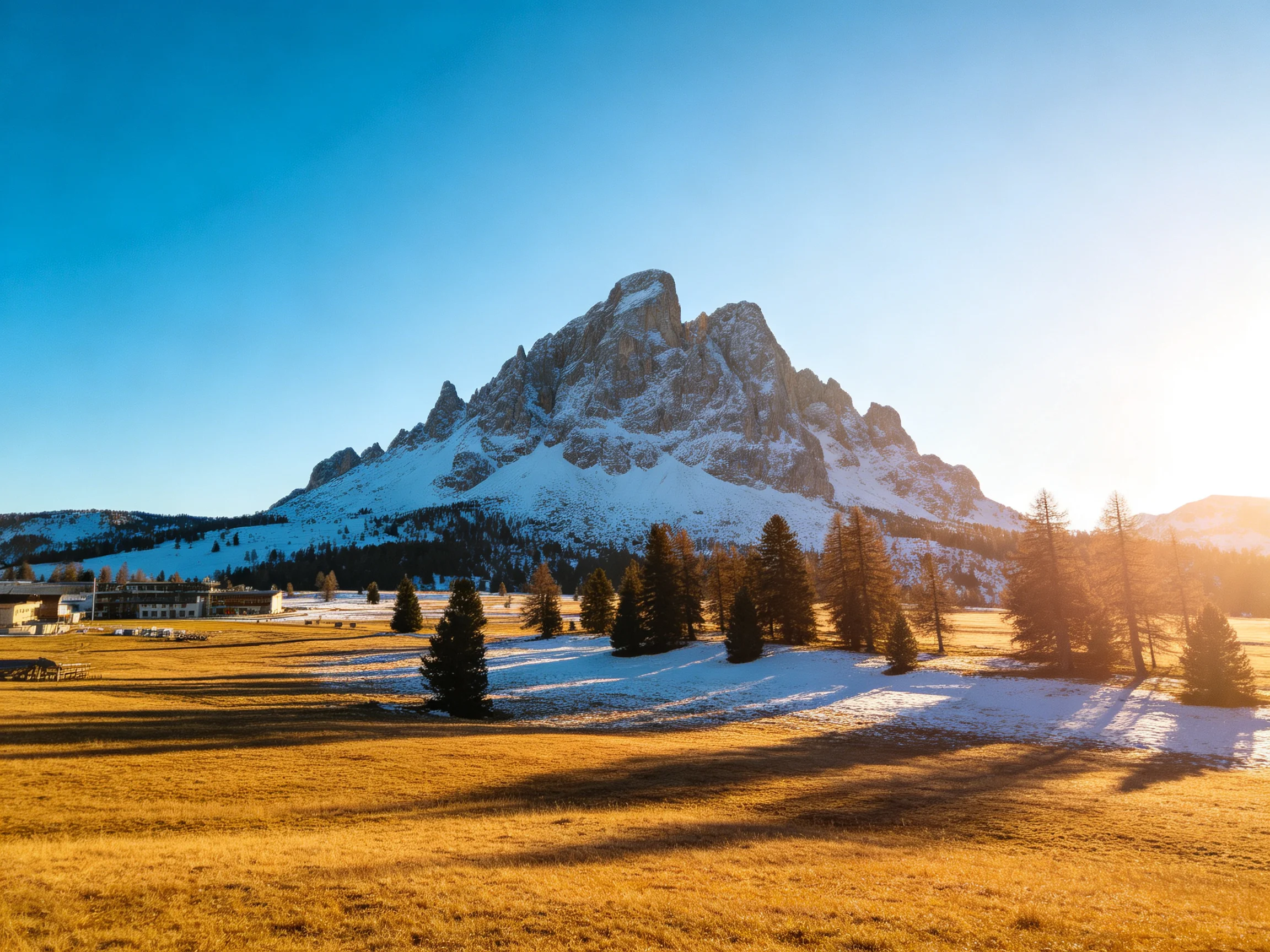 Snow - capped mountain overlooks golden meadow with evergreen trees