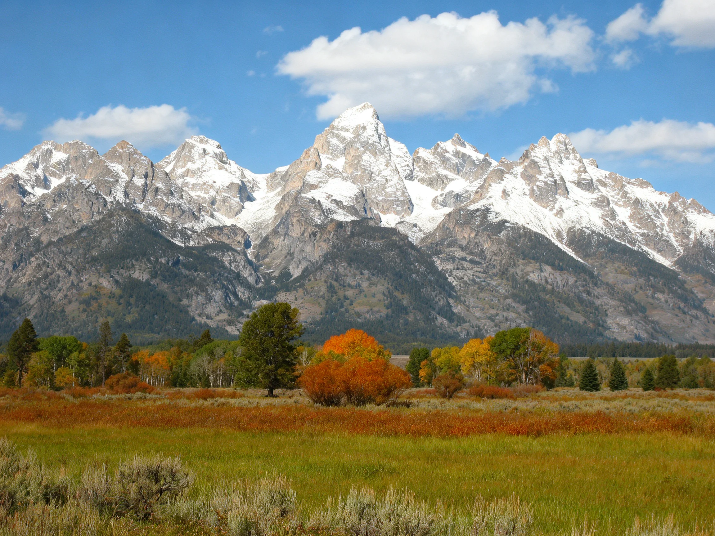 Snow-capped mountain peaks rise above vibrant autumn trees and lush meadows
