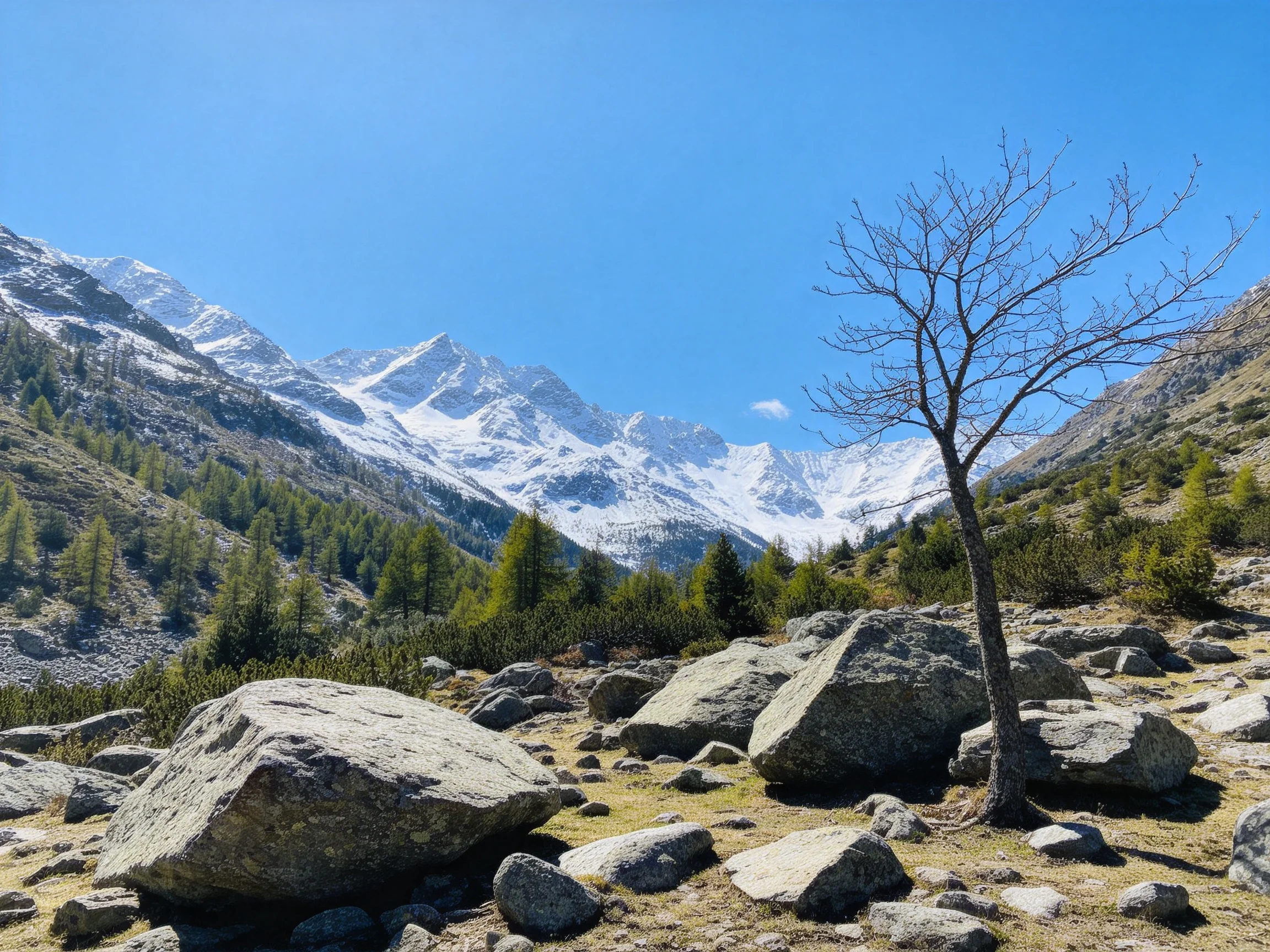Snow-capped peaks tower over rocky terrain with scattered boulders and sparse trees