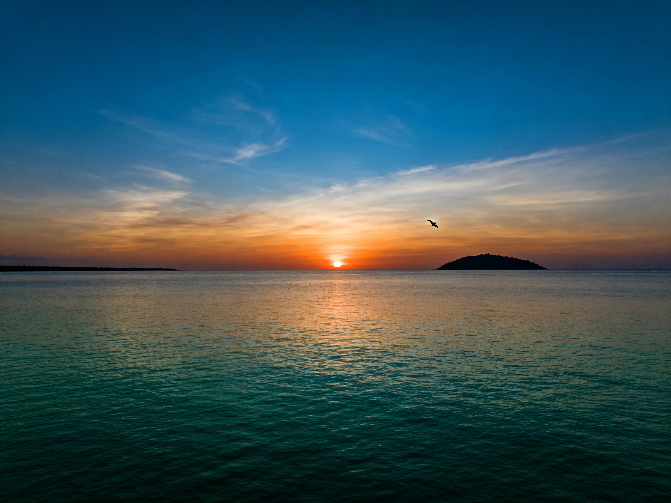 Sunset Over Calm Waters With Island and Bird