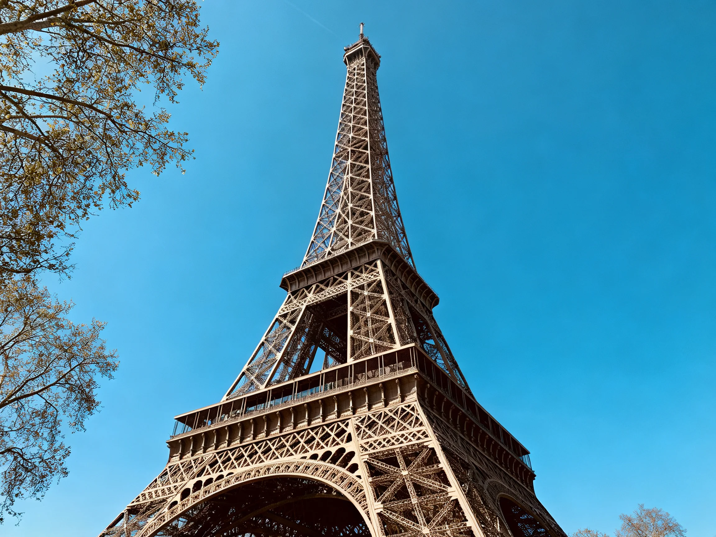 The Eiffel Tower rises against a clear blue sky with surrounding tree foliage.