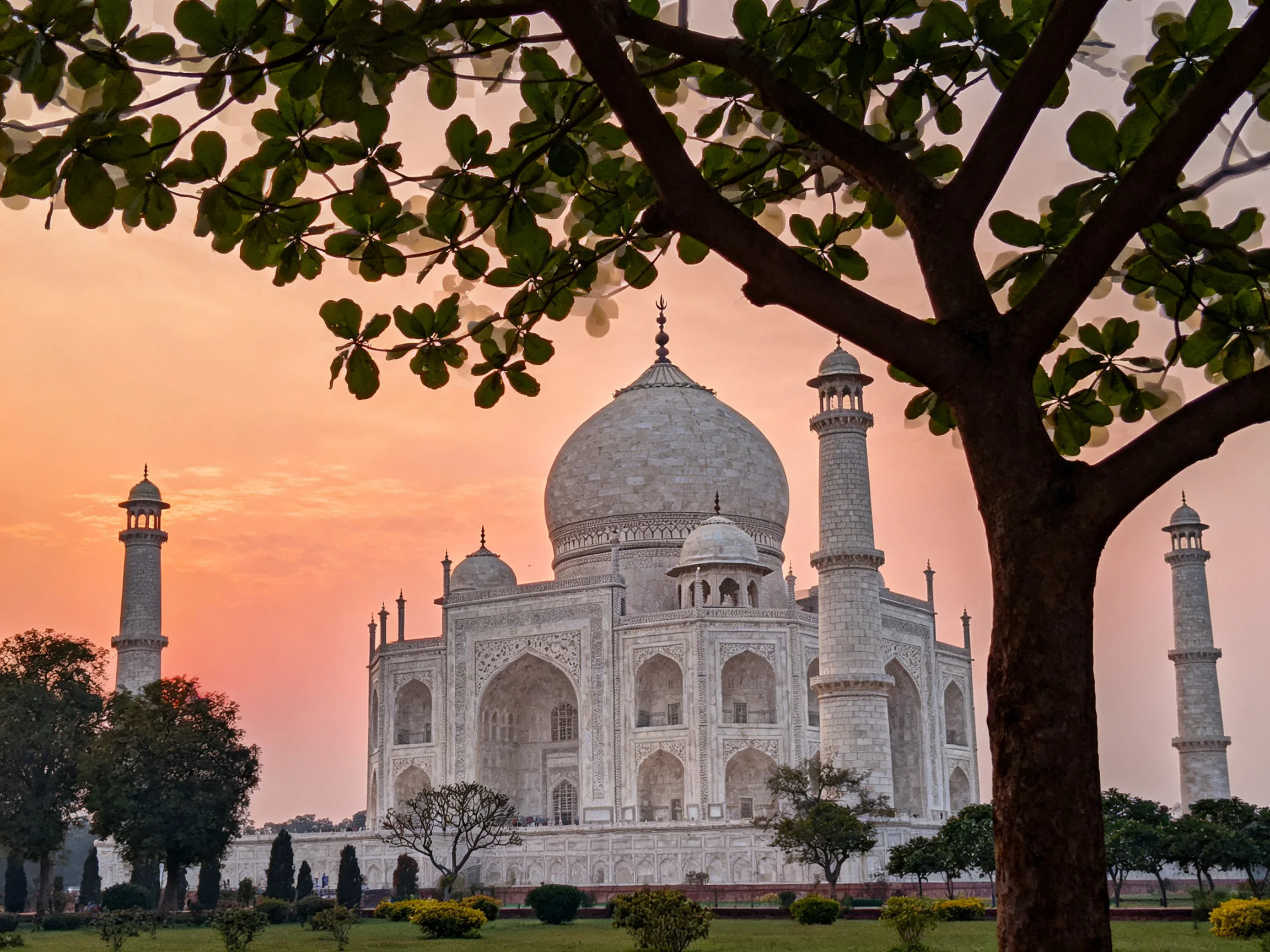 The Taj Mahal at sunset with green trees framing