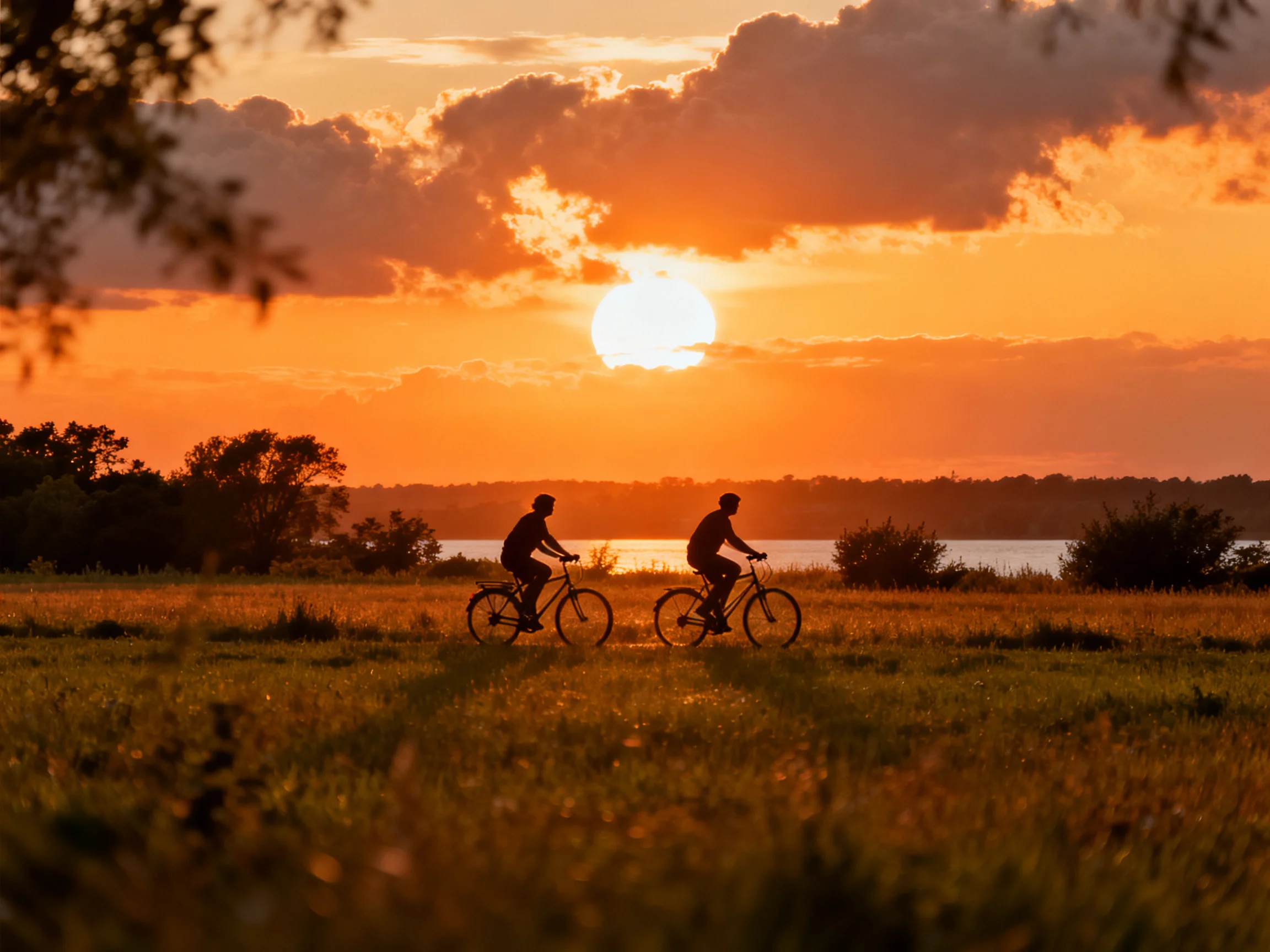 Two cyclists ride bikes through a golden field under a dramatic sunset