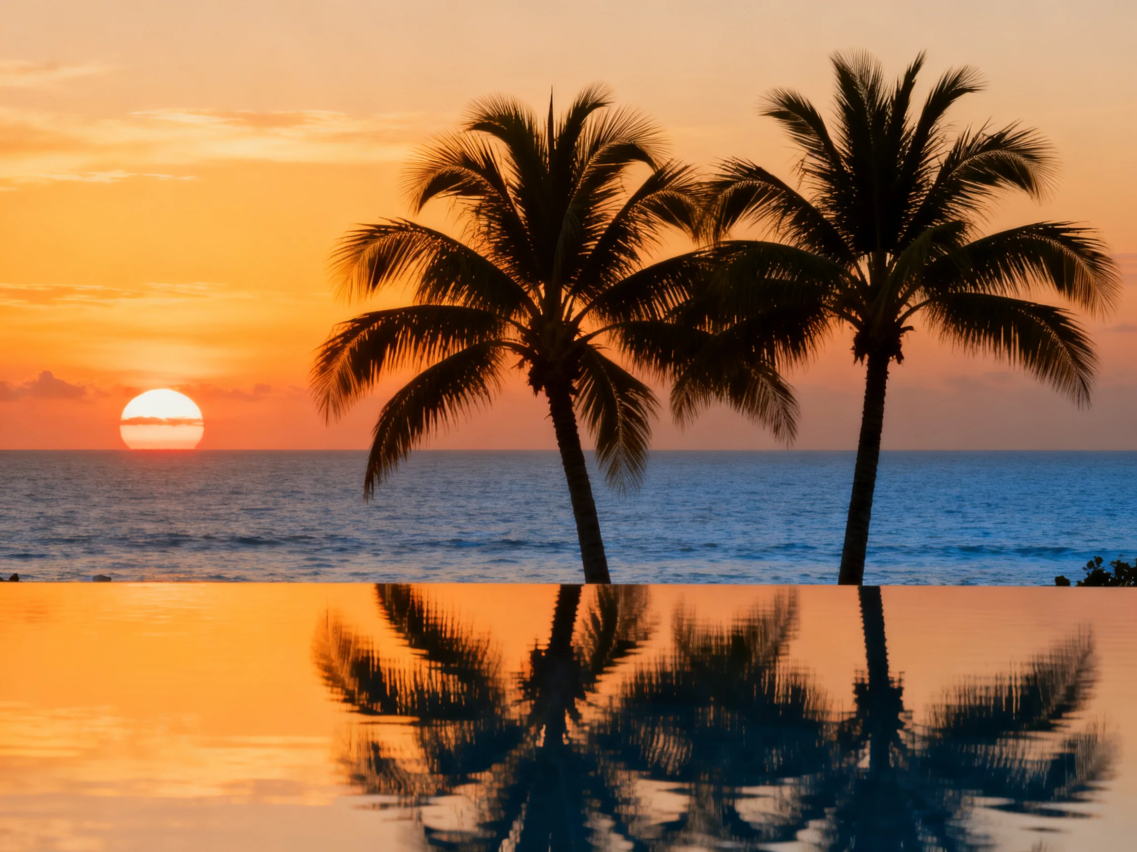 Two palm trees silhouette against vibrant sunset over calm ocean