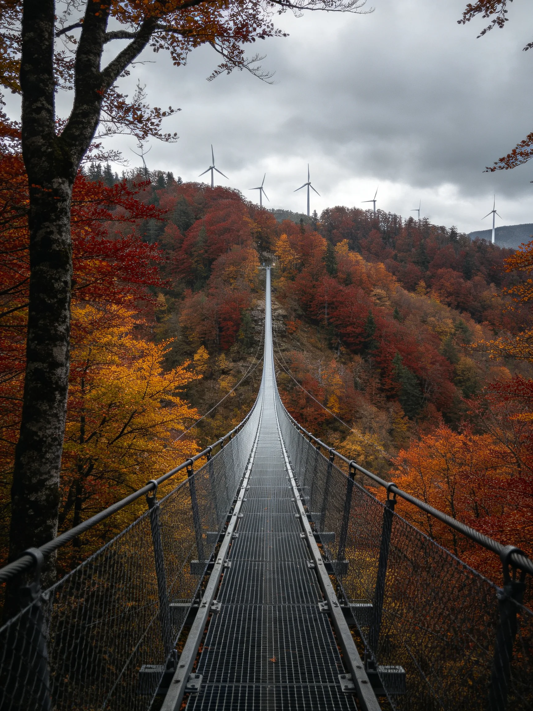 A long suspension bridge spans a forested valley with vibrant fall foliage