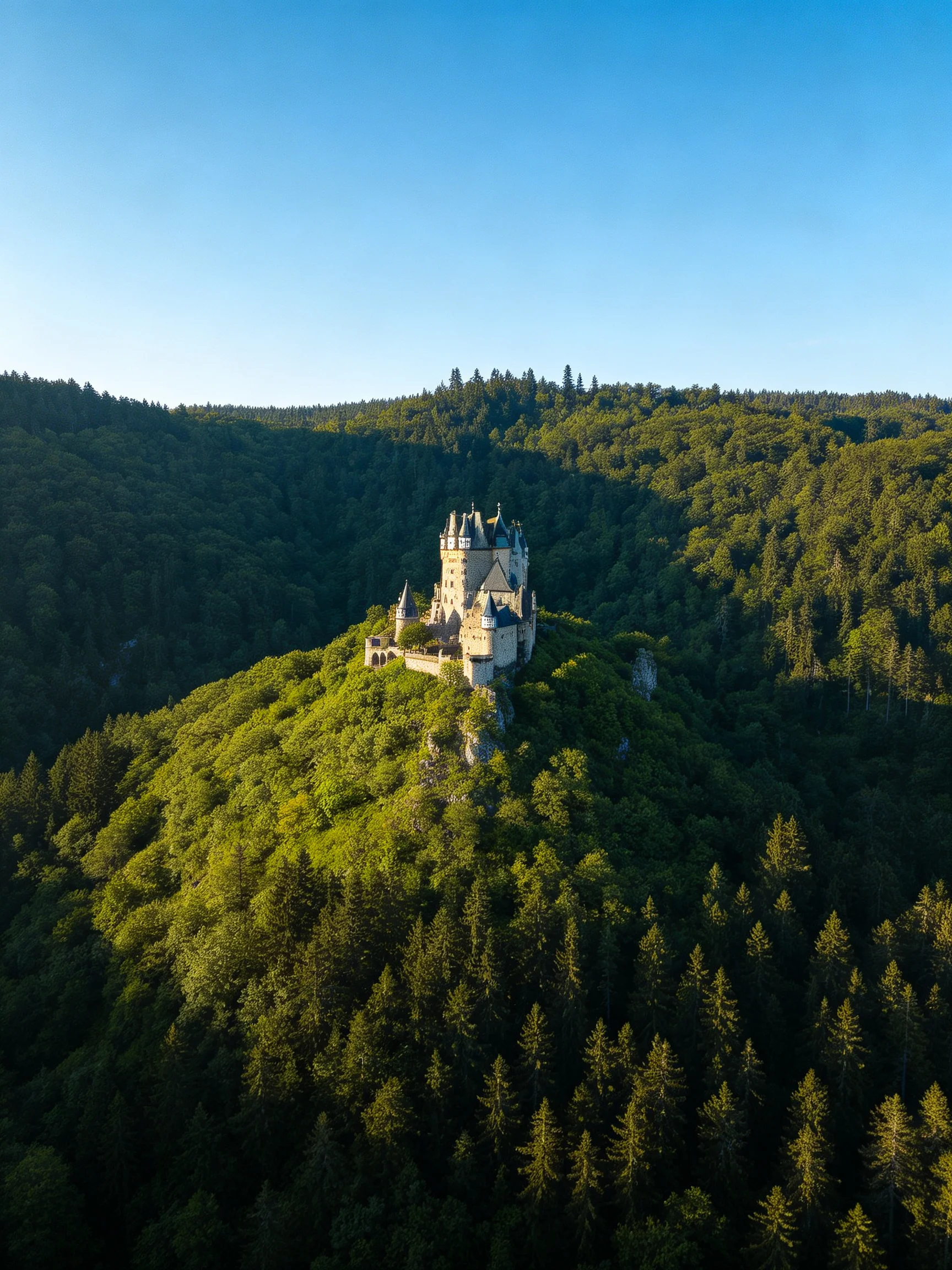 A magnificent castle atop a lush green hill surrounded by dense forests