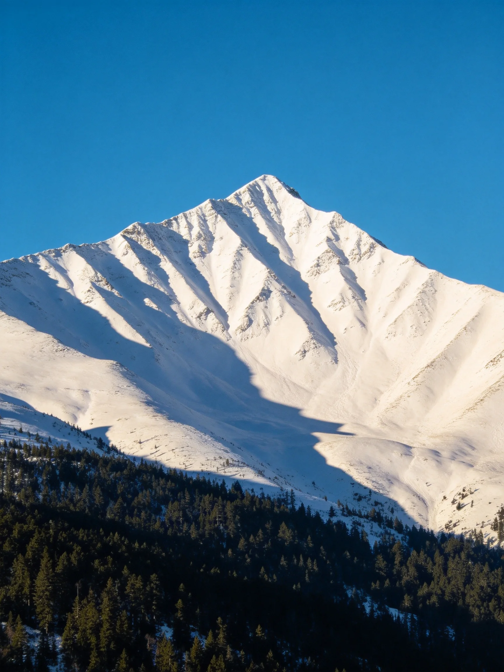 A majestic snow - capped mountain towers over forested slopes under a vivid blue sky