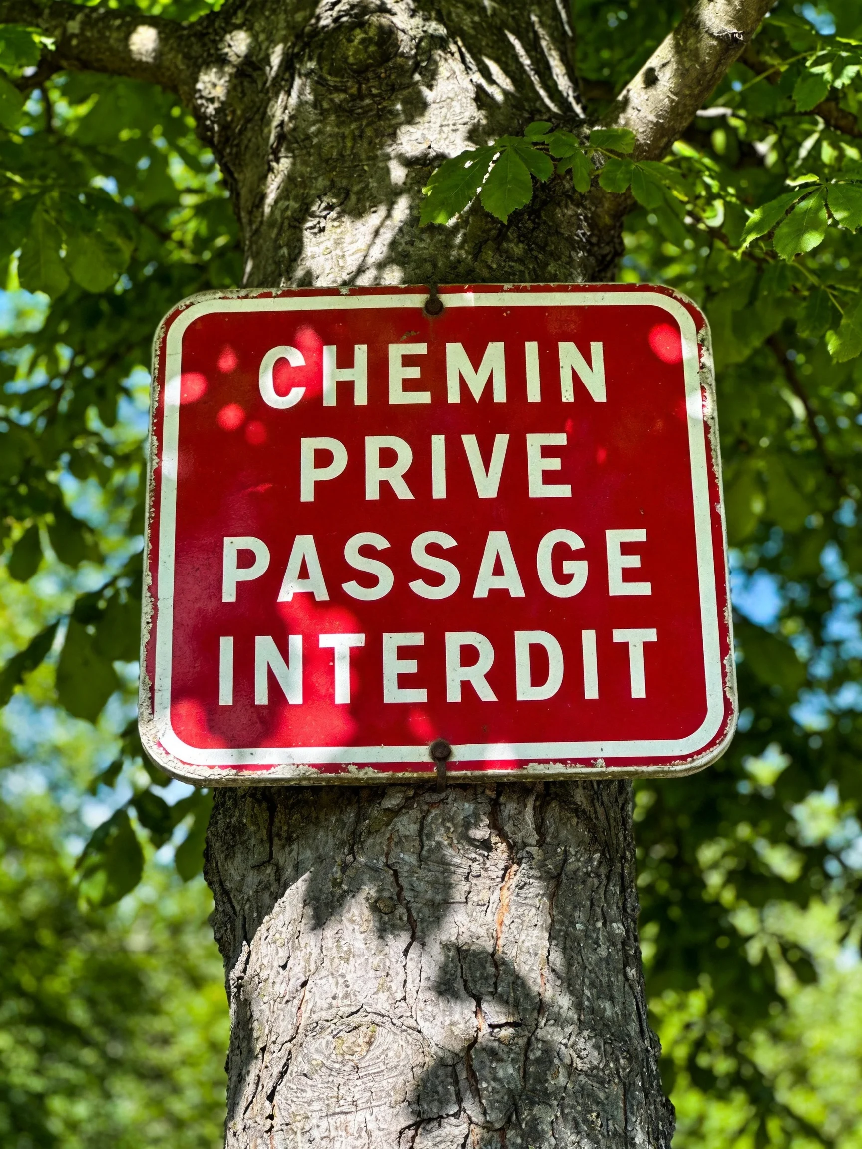 A red sign with white lettering attached to a tree trunk