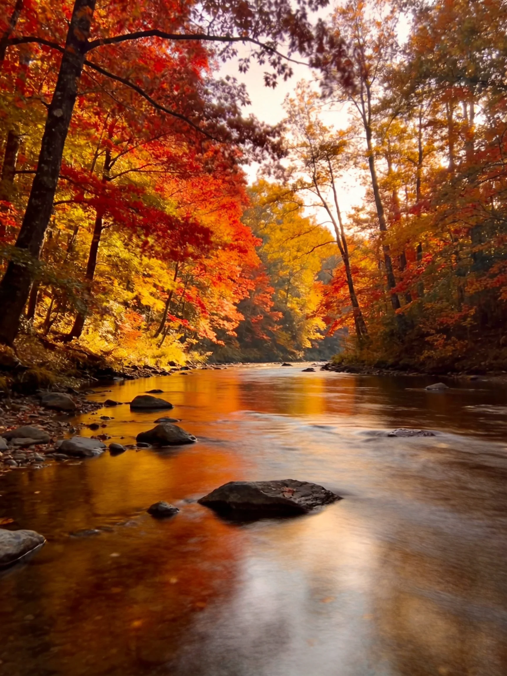 A serene river winds through vibrant fall forest with golden and crimson leaves