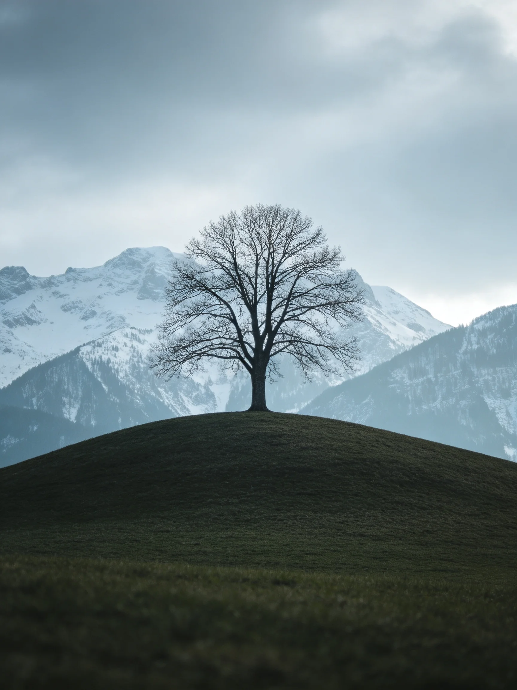 A solitary bare tree stands on a grassy hill near snow - capped mountains