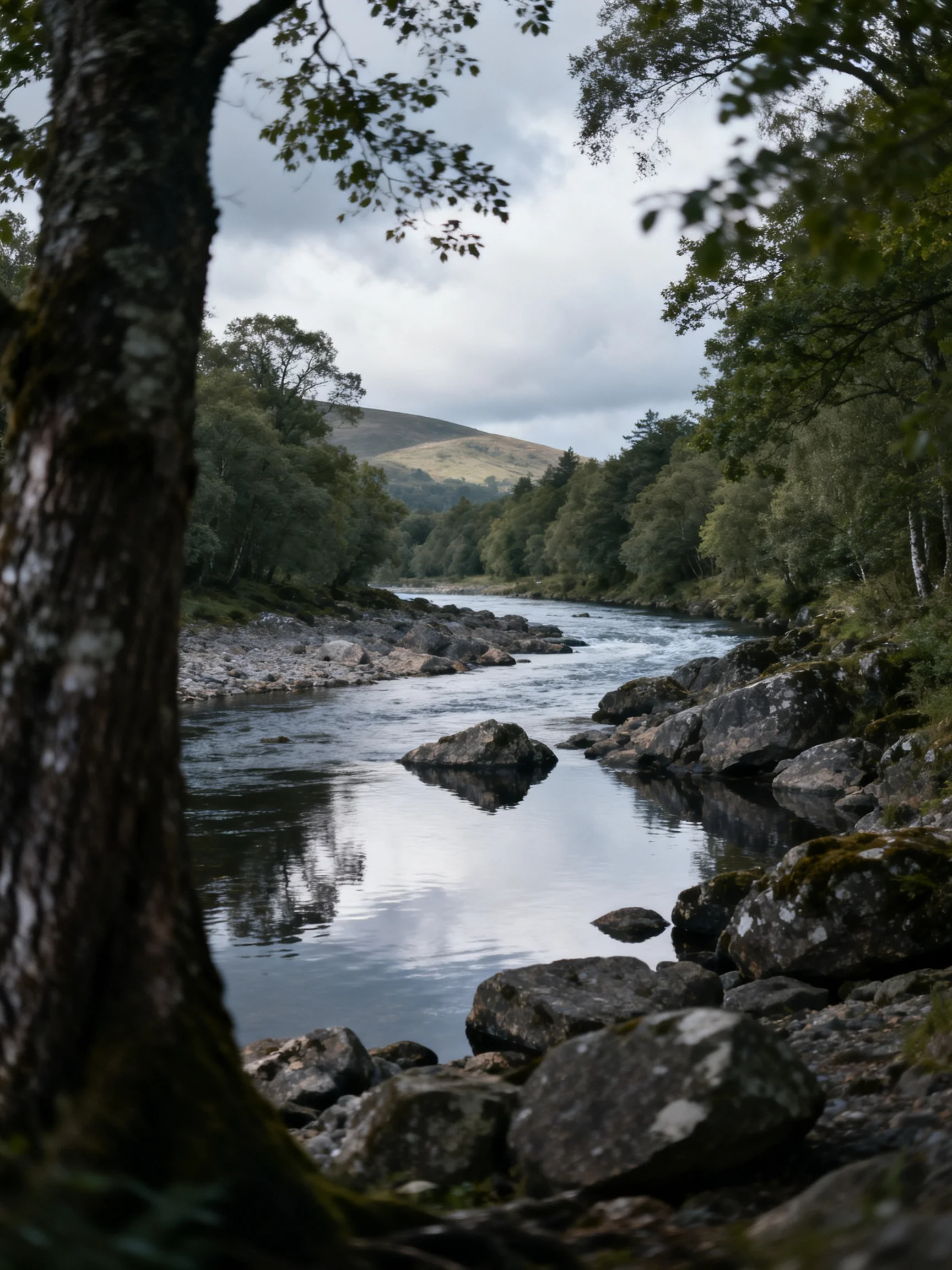 A tranquil river winds through rocky banks with dense forest surroundings.