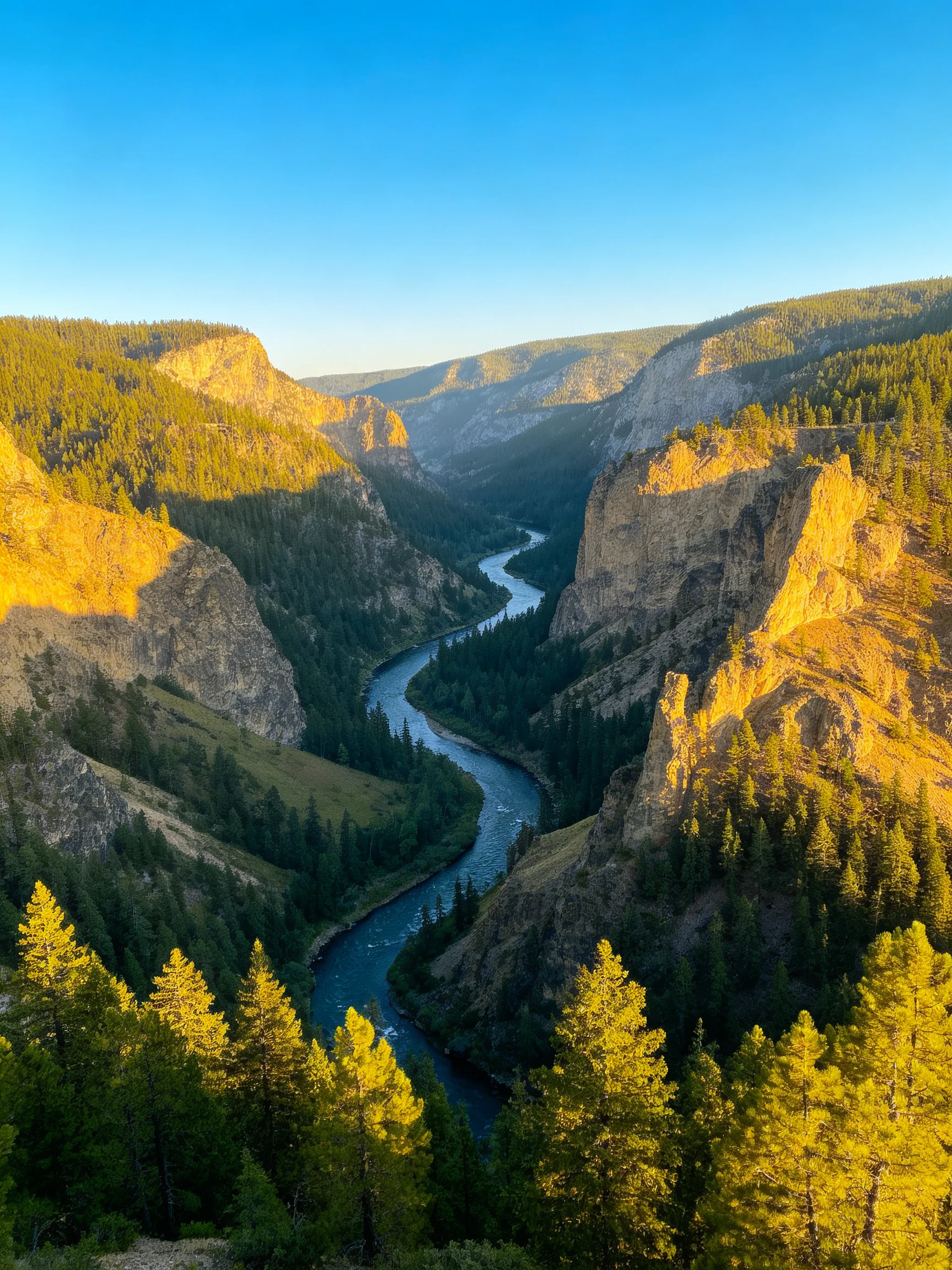A winding river flows through a forested mountain canyon under clear blue sky