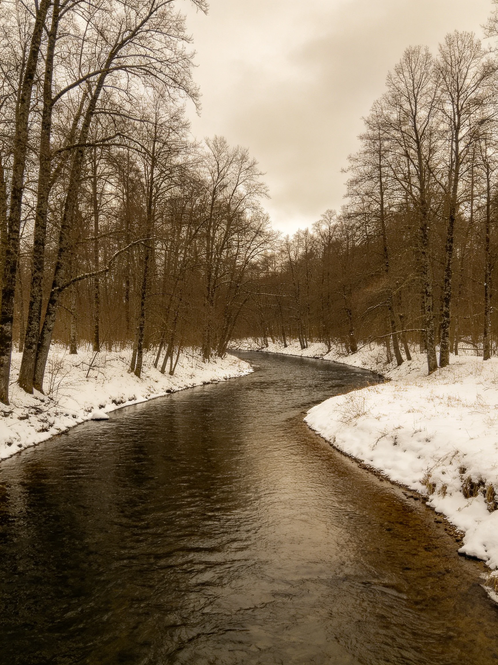 A winding river winds through a snow-draped forest under a gloomy sky