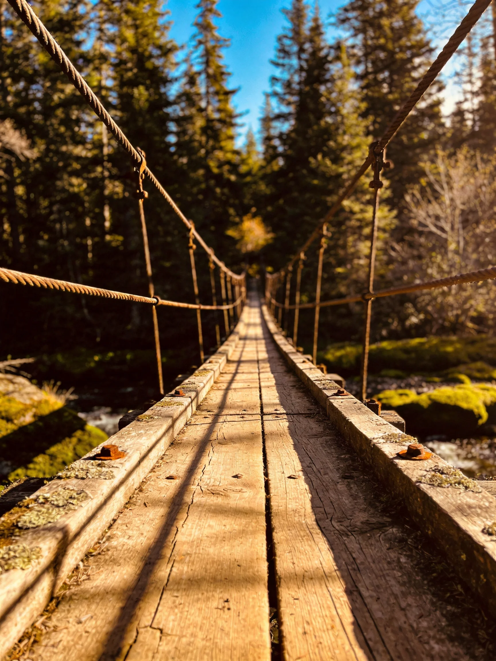 An aged wooden suspension bridge spans a forest stream