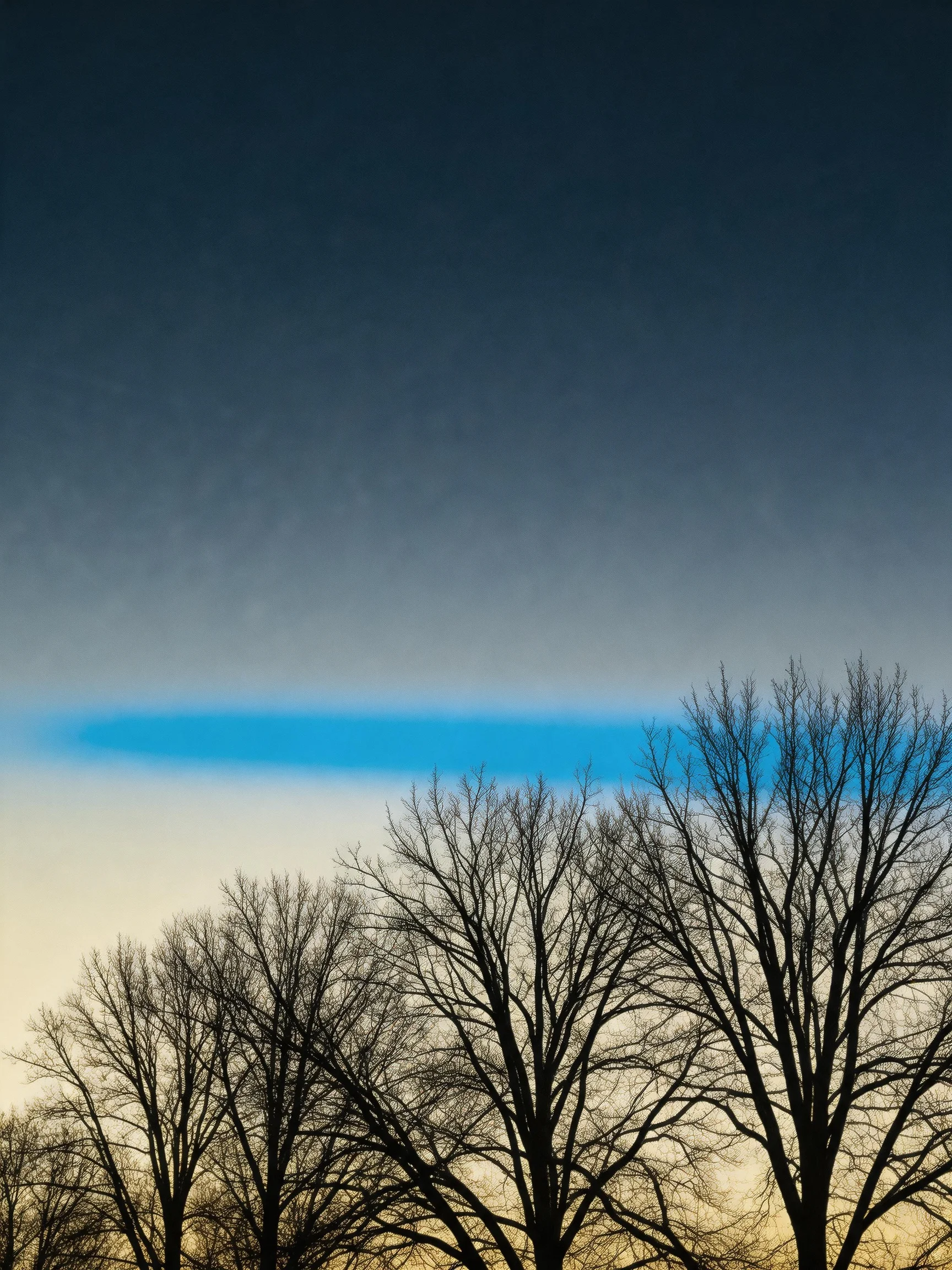 Bare trees silhouetted against a gradient twilight sky