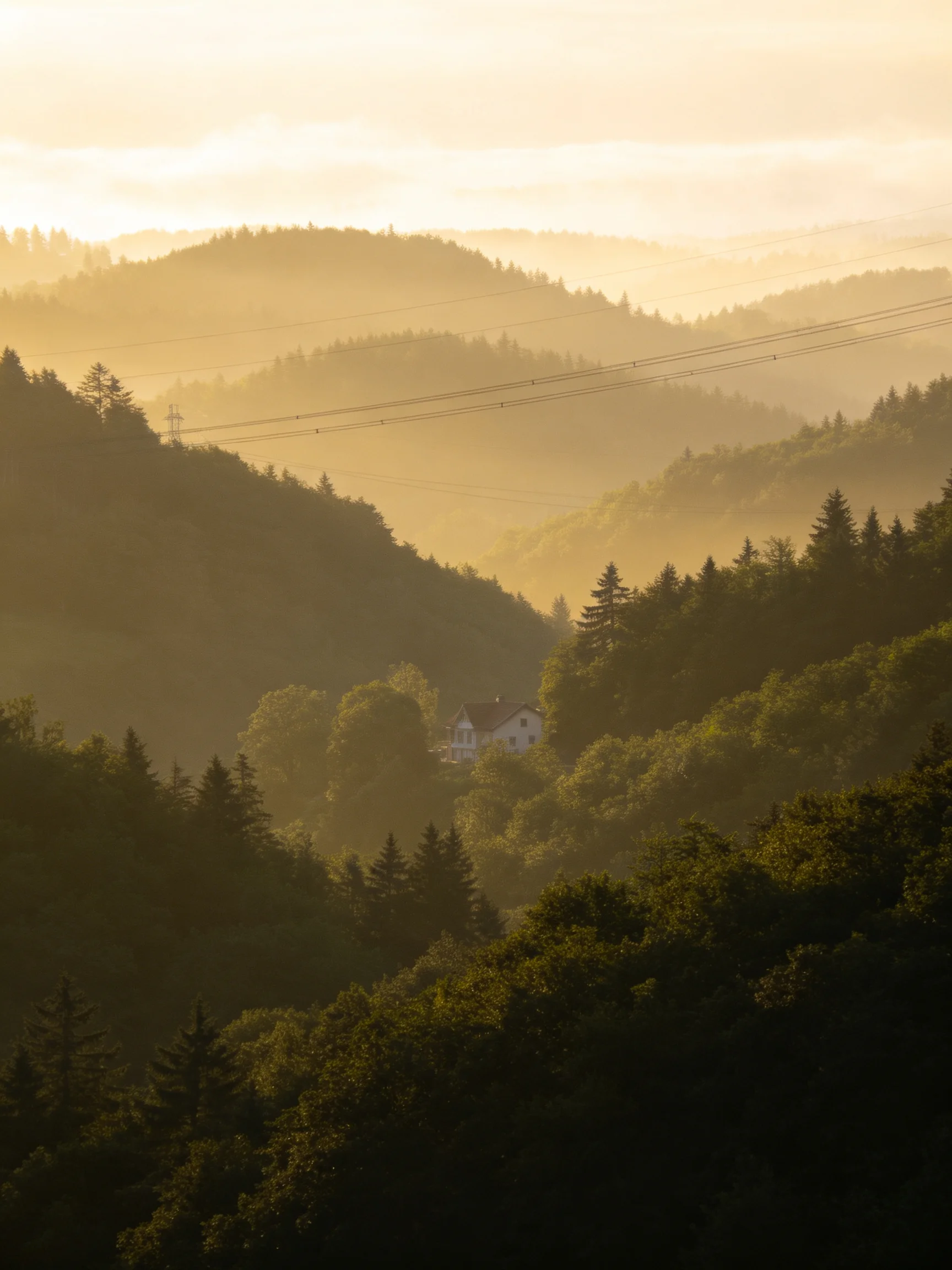 Golden-Hued Mist-Covered Mountains with Dense Forests and a Central House