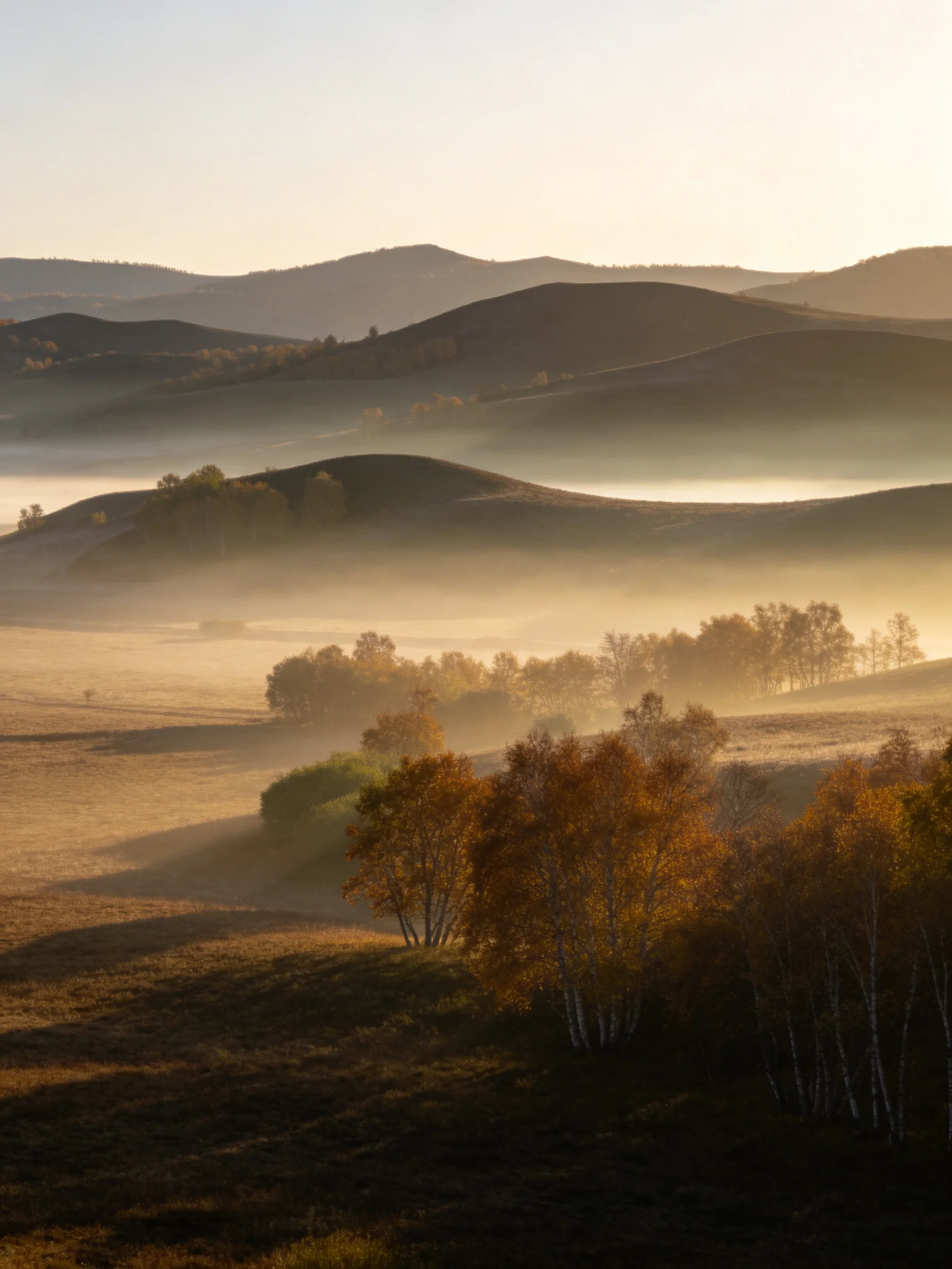 Golden Mist Over Rolling Hills with Autumn Trees