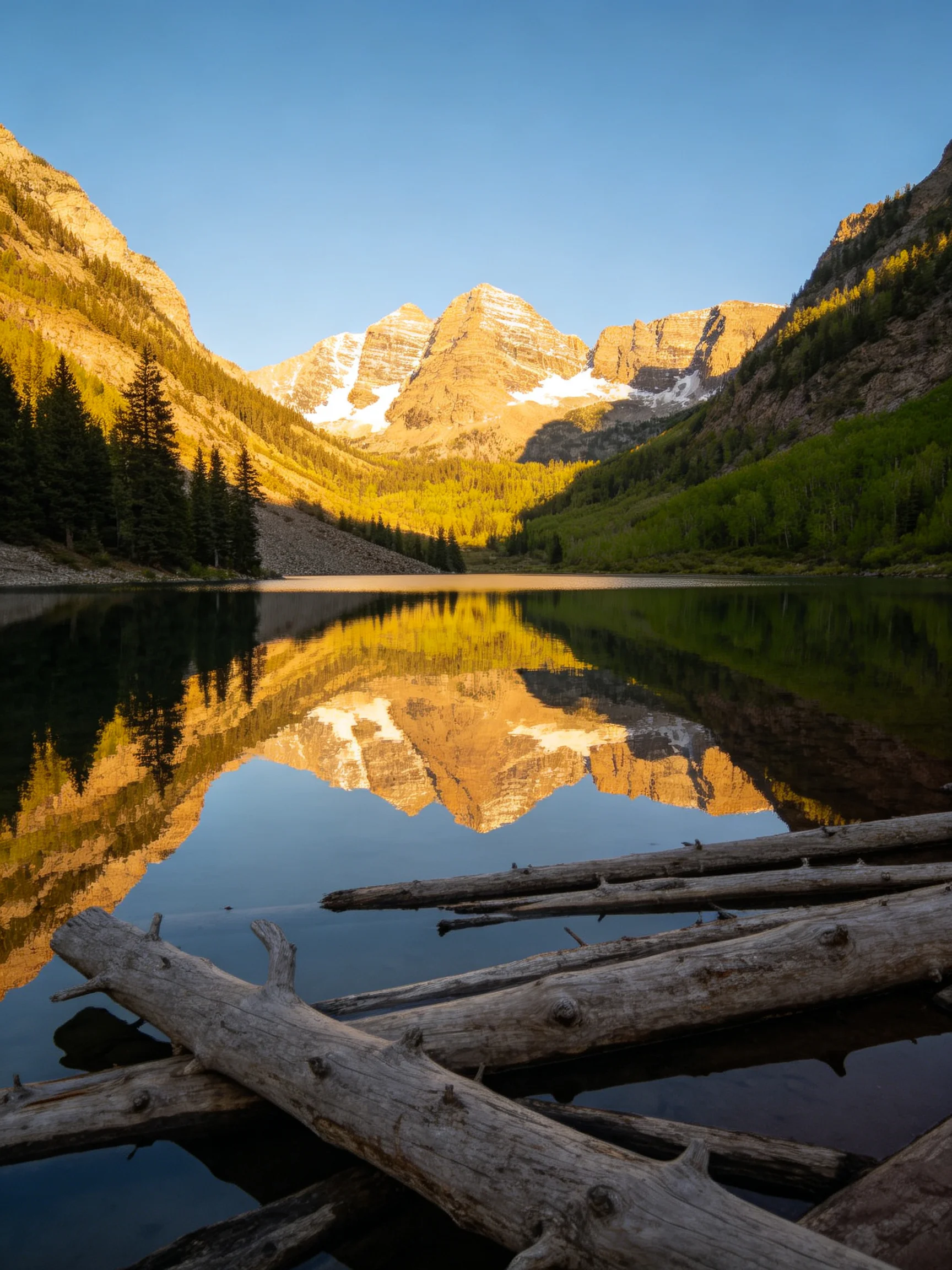 Golden Mountain Peaks Reflecting in a Calm Lake with Fallen Logs
