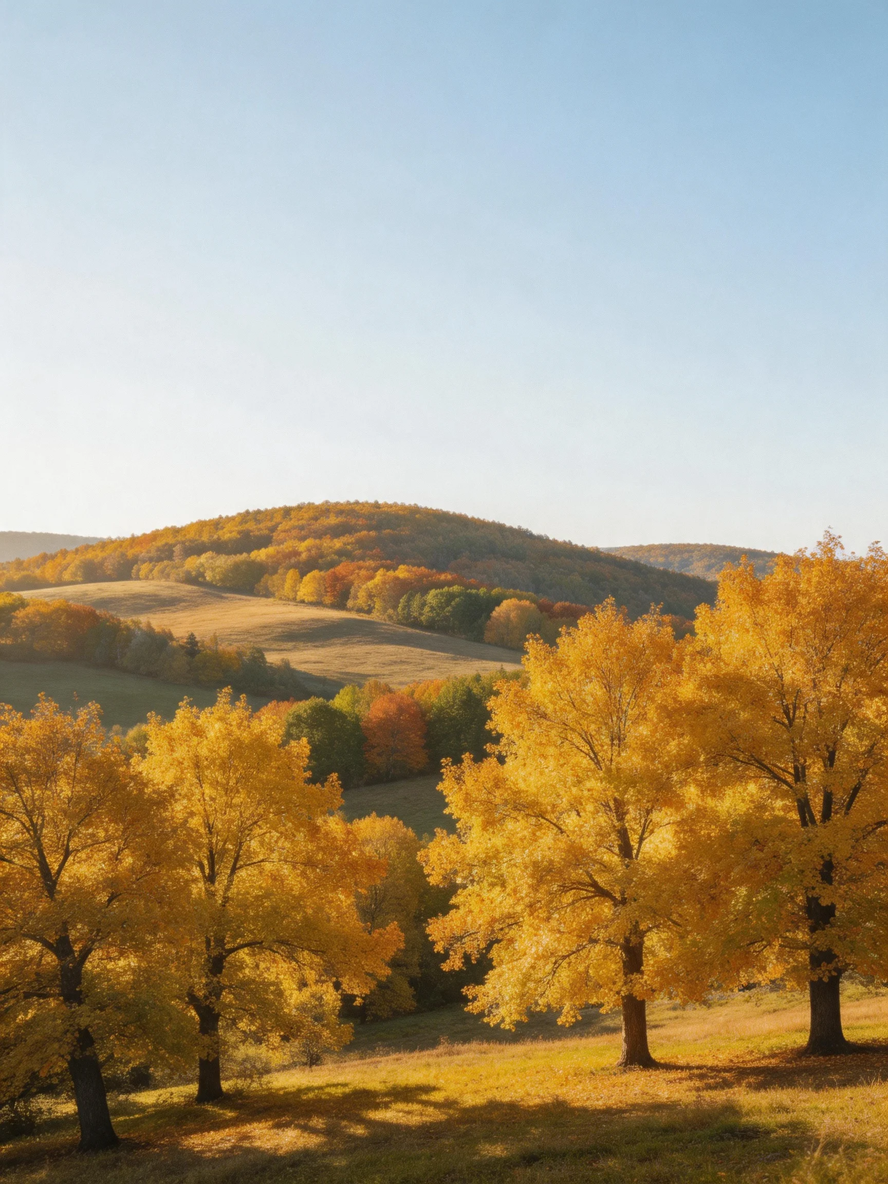 Golden autumn trees with rolling hills under clear sky