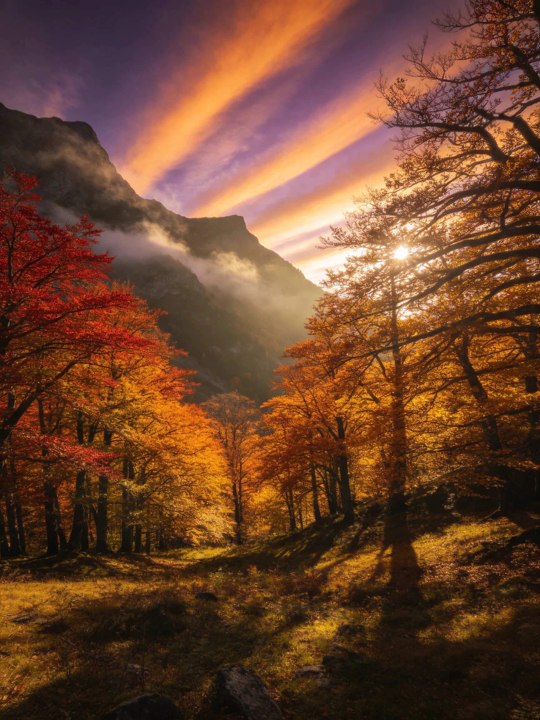 Golden-hued autumn forest with misty mountain backdrop