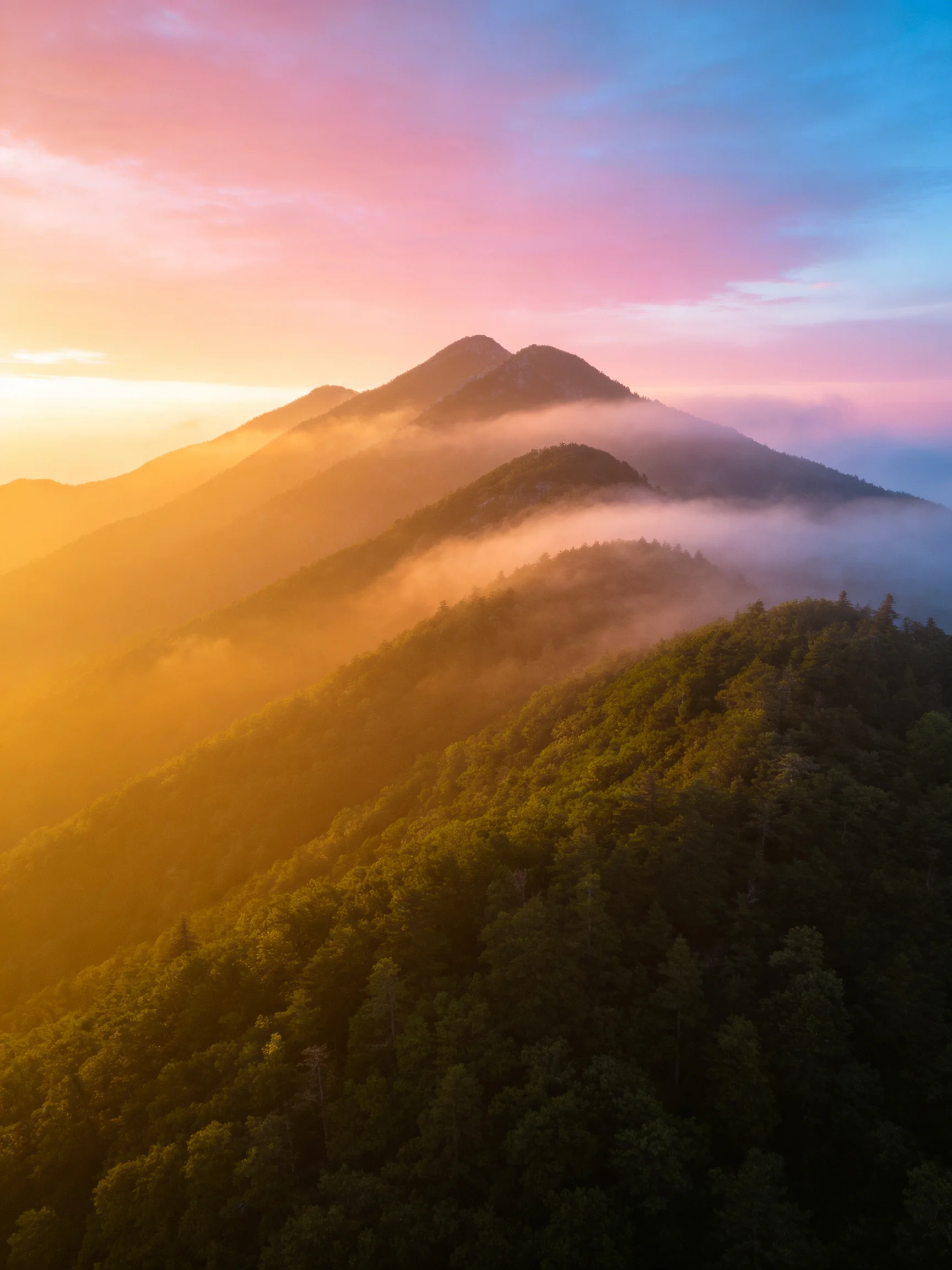 Golden sunrise illuminates misty mountain peaks with lush forest