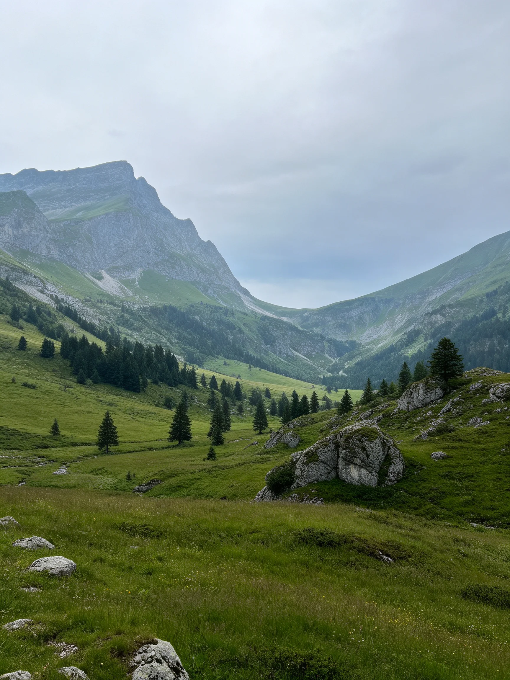 Lush green valley with rocky peaks under overcast sky