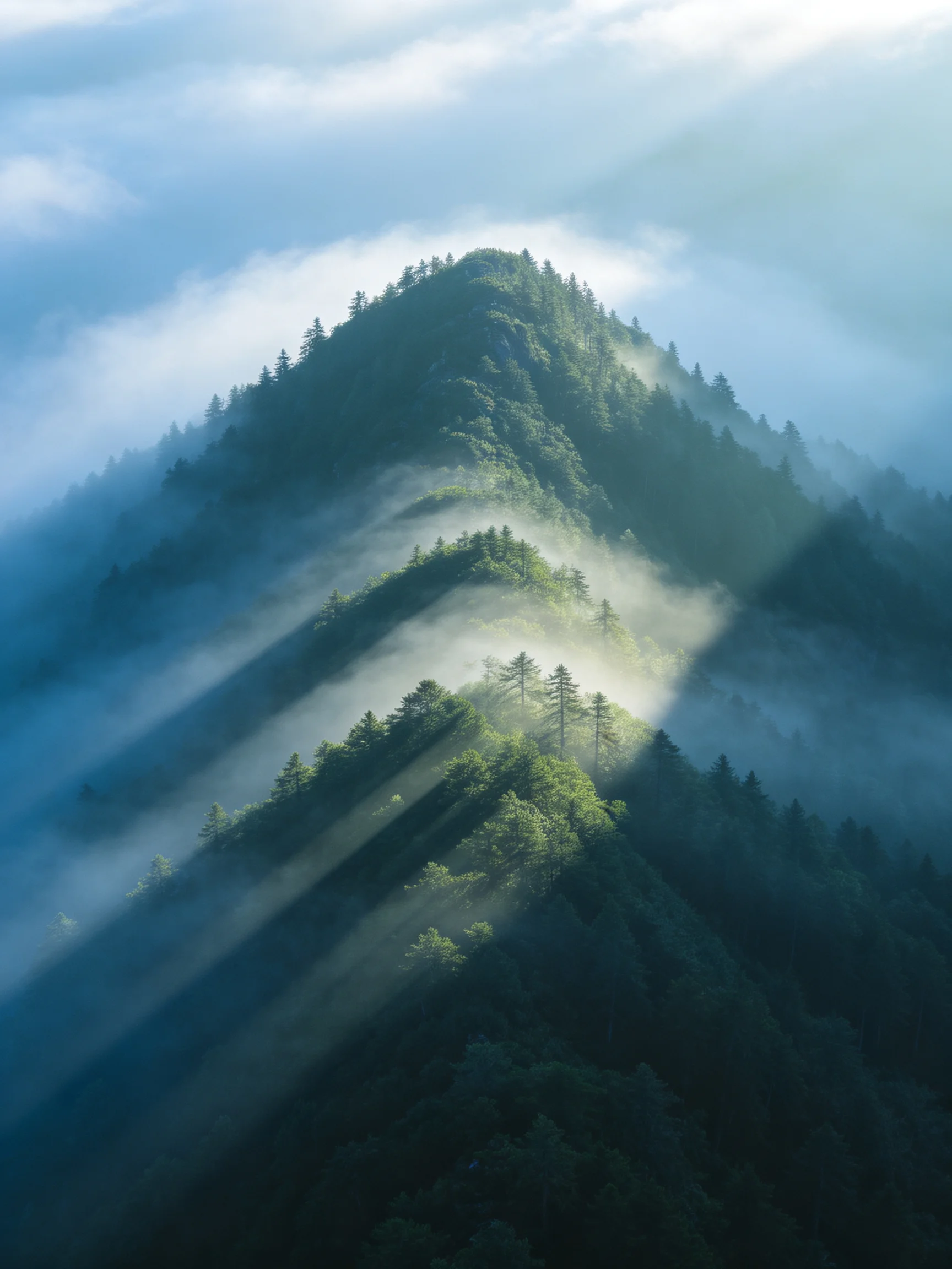 Misty Mountain Peaks Enveloped by Lush Evergreen Forests