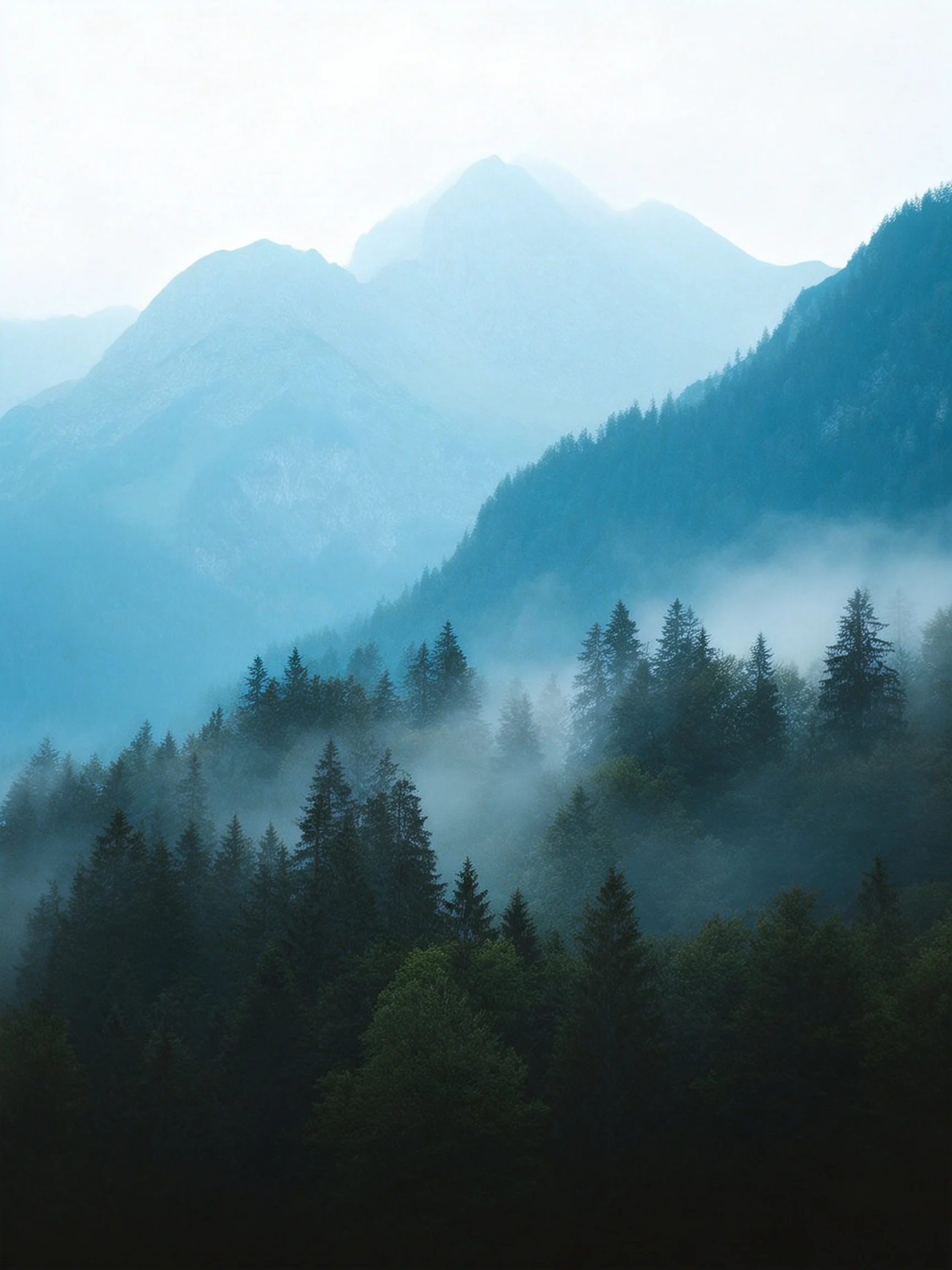 Misty blue mountains tower over layered evergreen forests