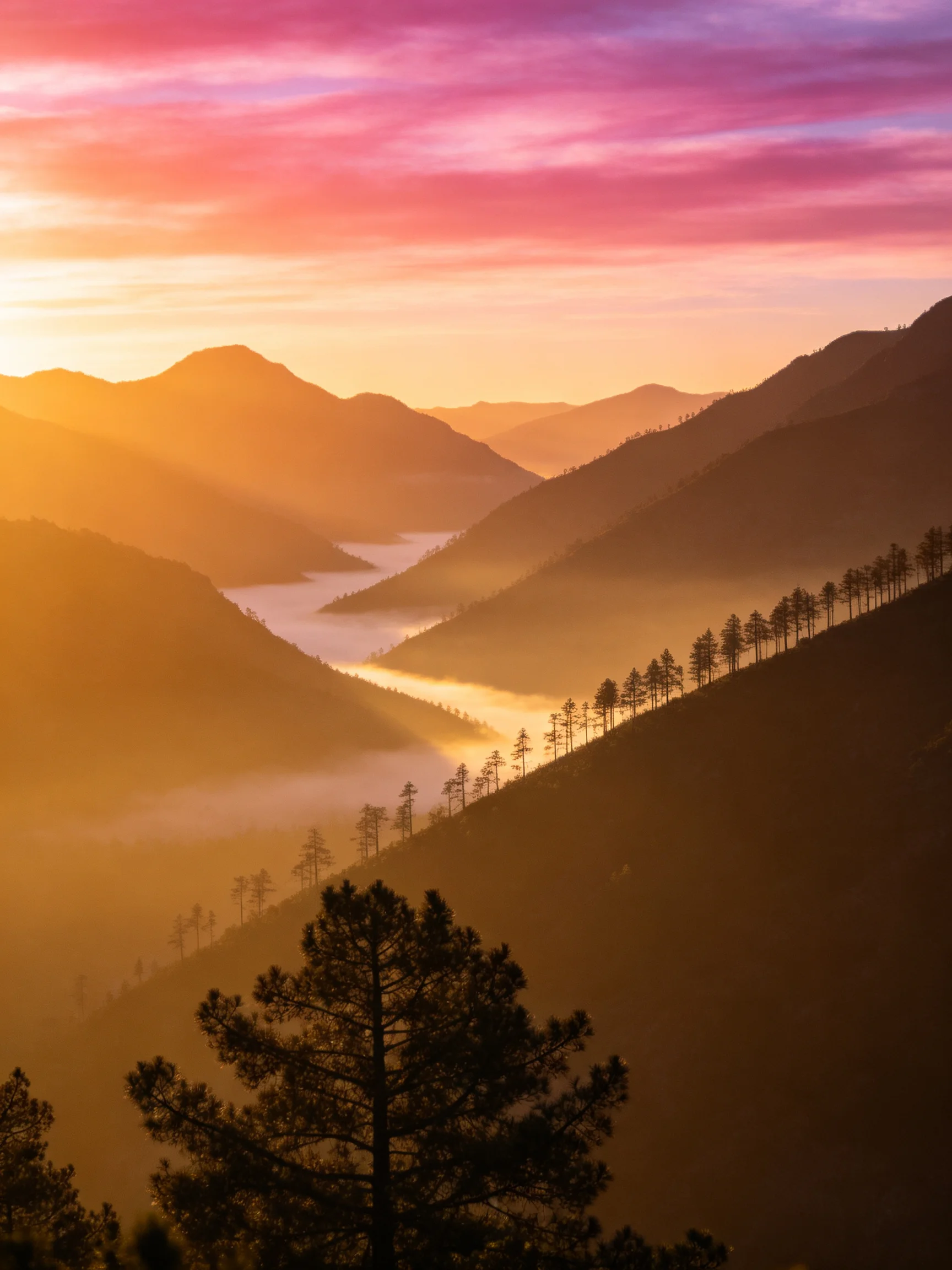 Mountain Valley at Dawn with Pink Sky and Misty Fogs
