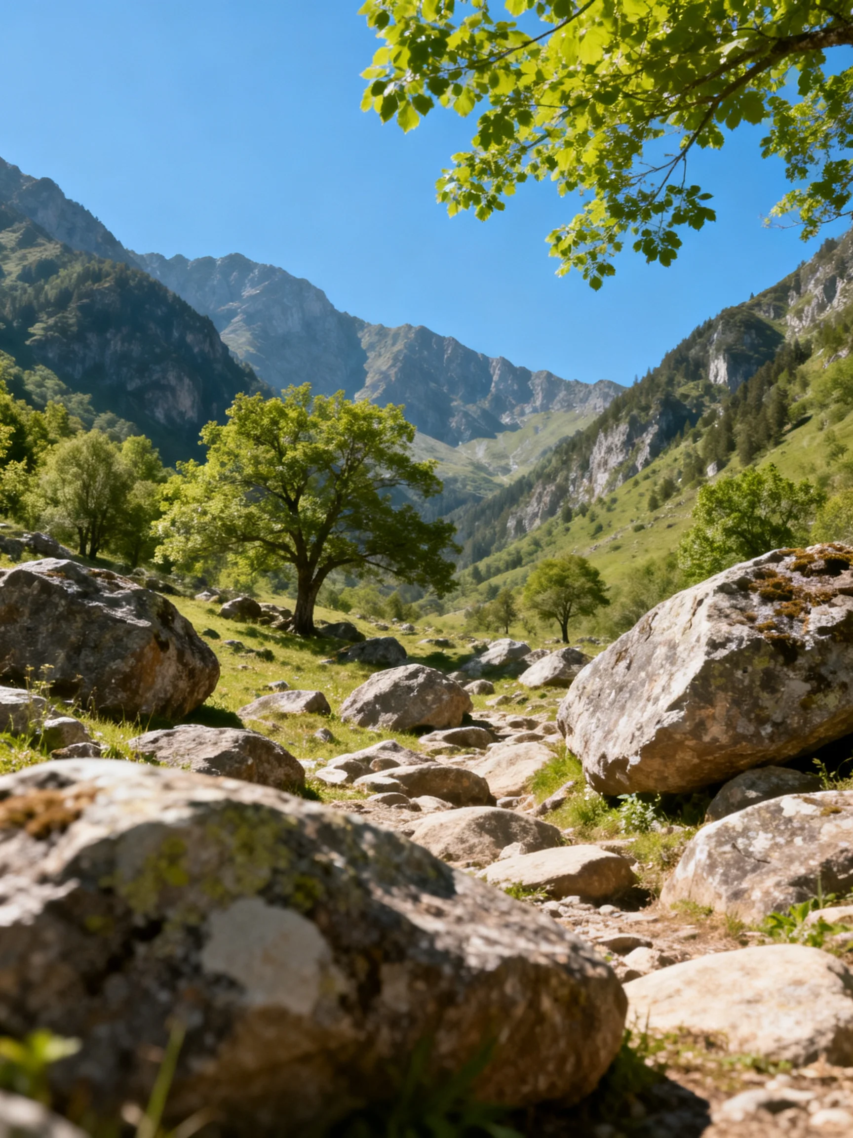 Scattered large rocks cover a verdant valley with green mountains