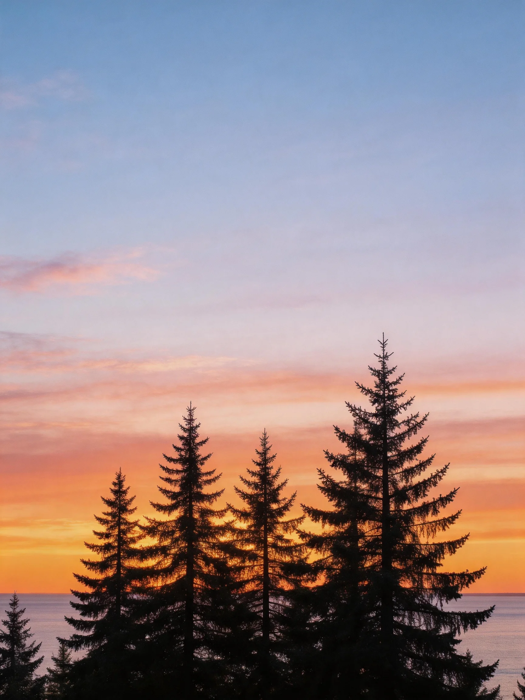 Silhouetted evergreen trees against a vibrant sunset sky over calm waters