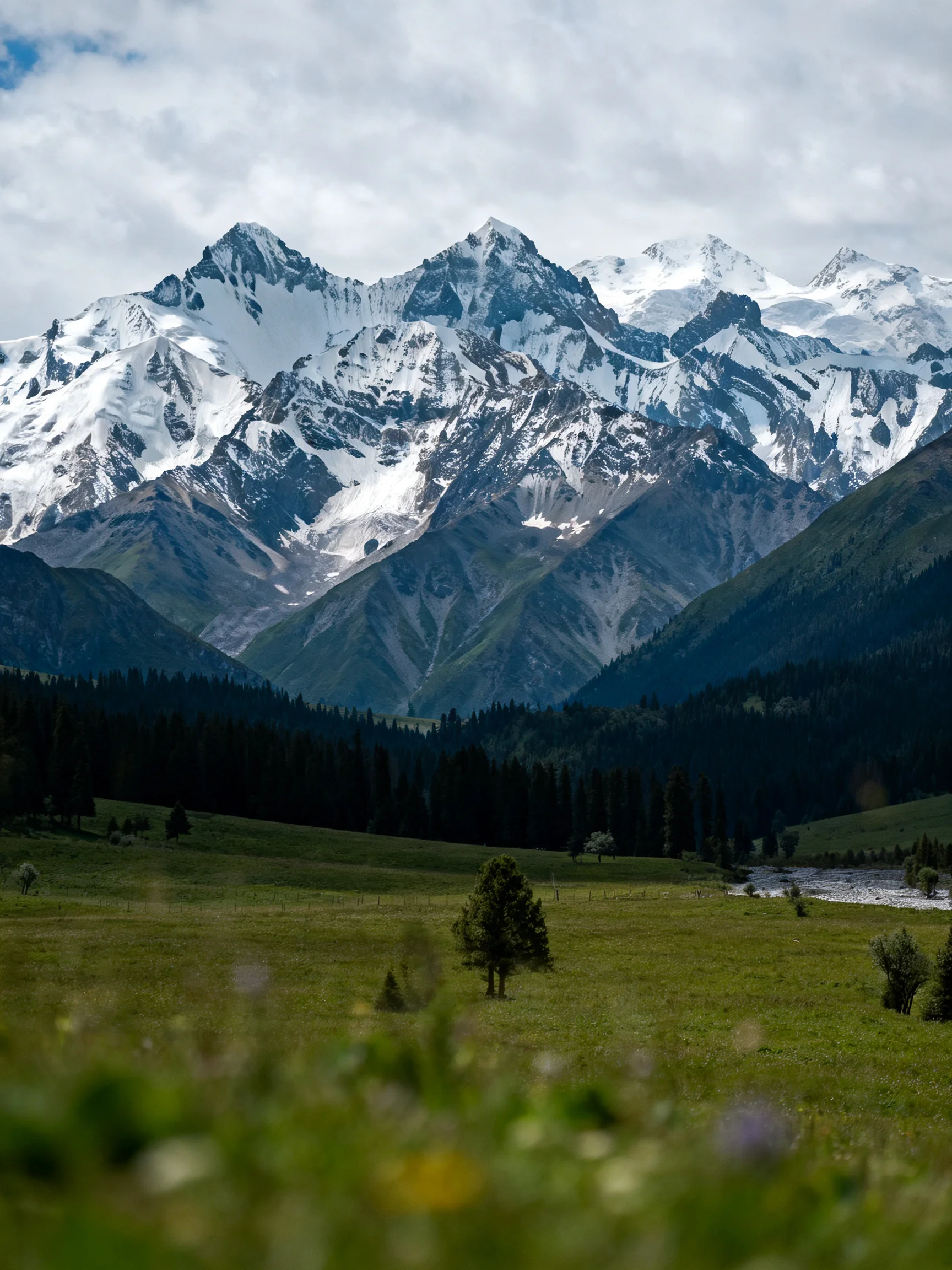 Snow - capped mountain range overlooks lush green meadow with forests