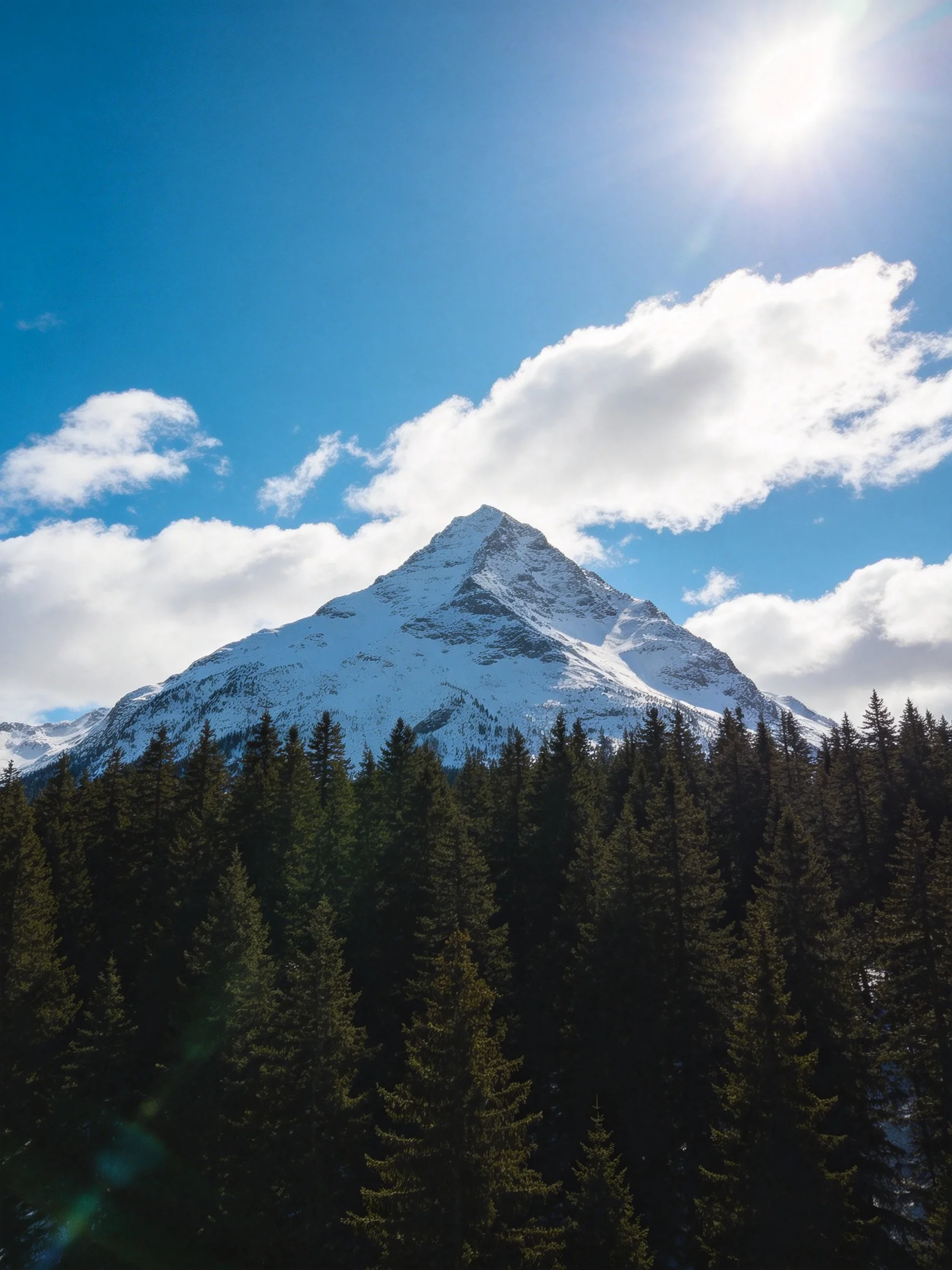 Snow - capped mountain towering above dense pine forest under bright blue sky