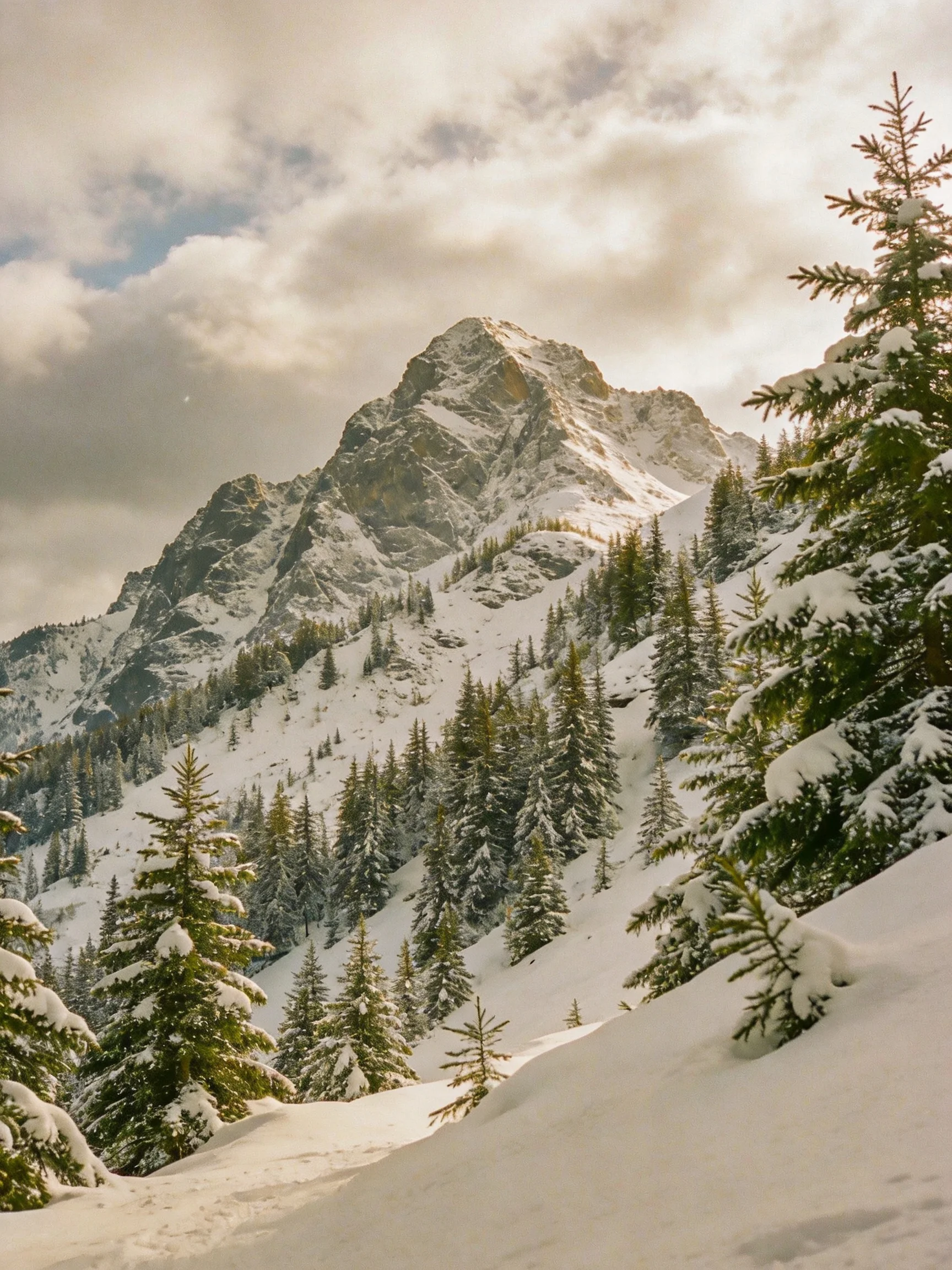 Snow-Covered Mountain Peak with Pine Forest Under Cloudy Sky