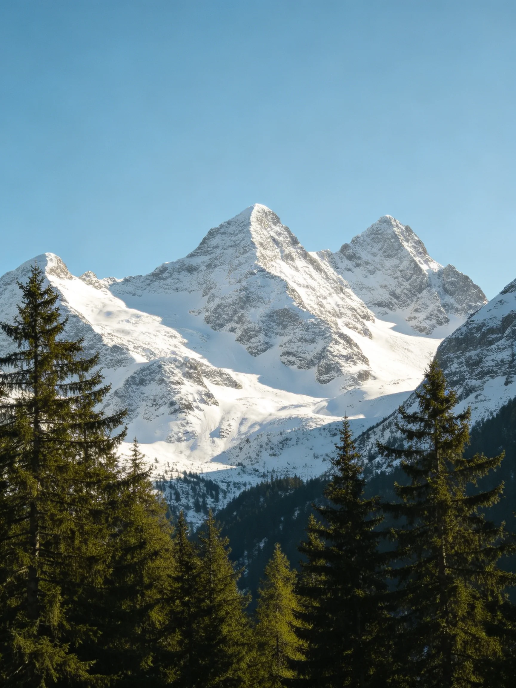 Snow-Covered Peaks Tower Above Dense Green Pine Forests Under Clear Blue Sky