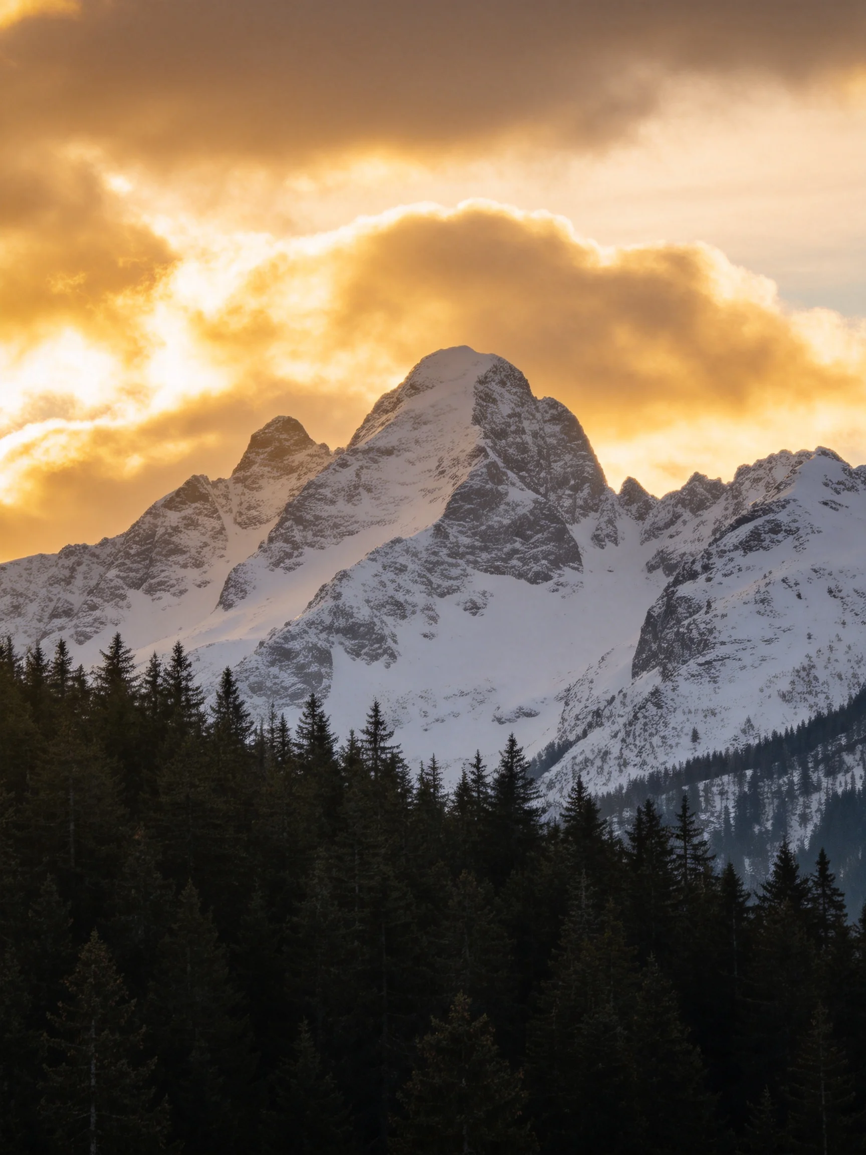 Snow-capped mountain peaks beneath golden sunset clouds with dark forest