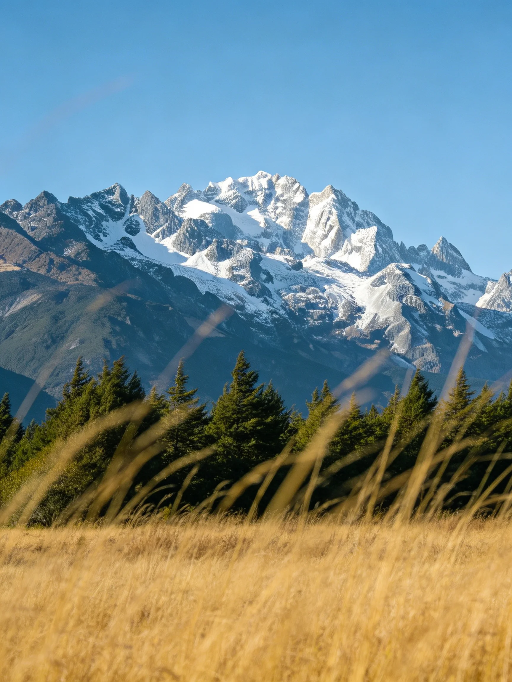 Snow-capped mountain peaks overlook golden grasslands and evergreen forests.