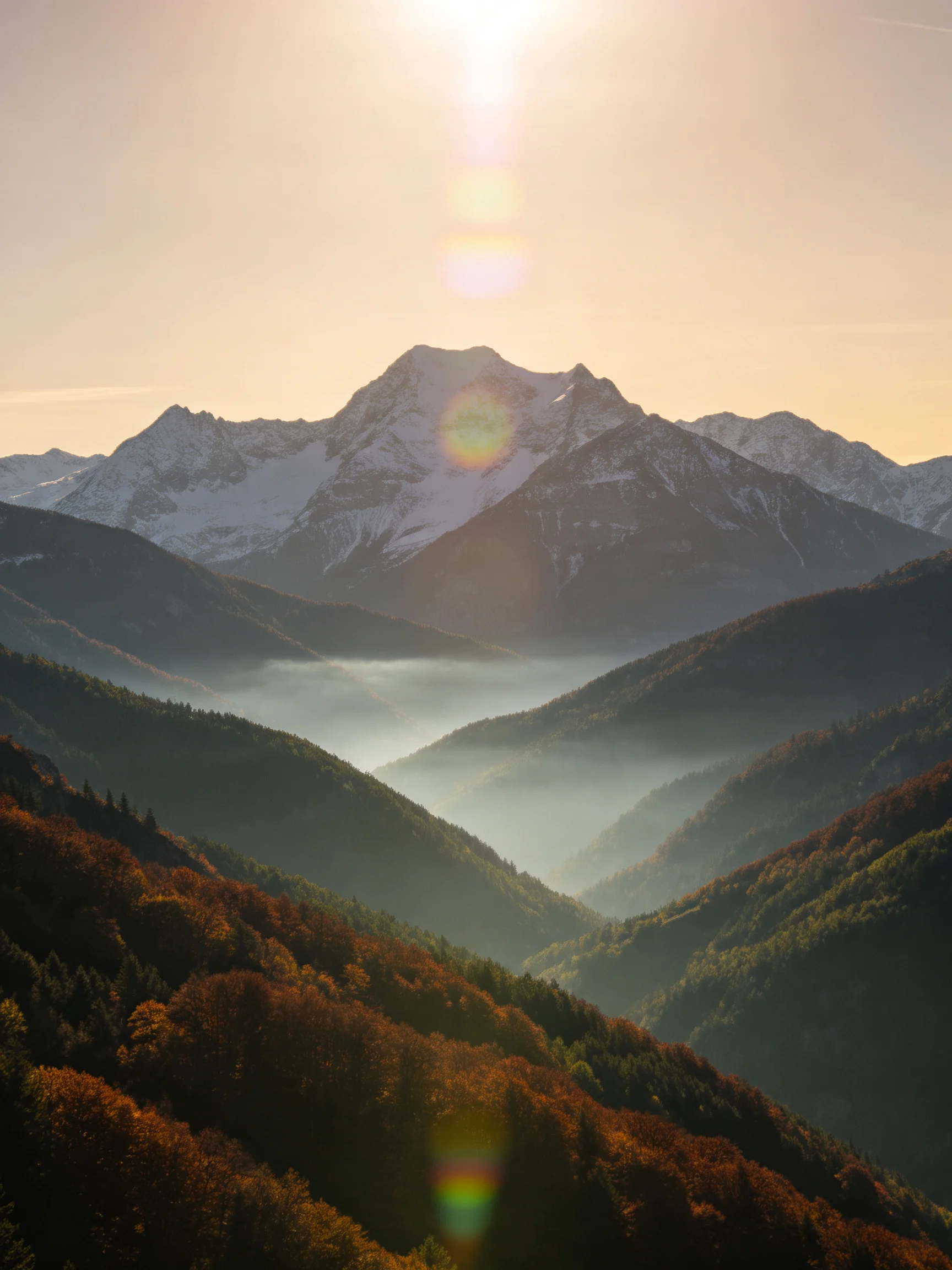 Snow-capped mountain peaks tower over layered forested valleys with morning mist