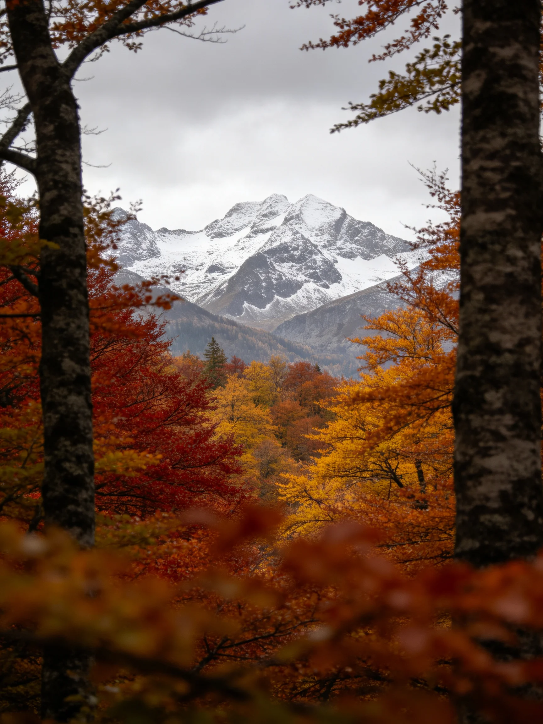 Snow-capped peaks rise above colorful autumn woods