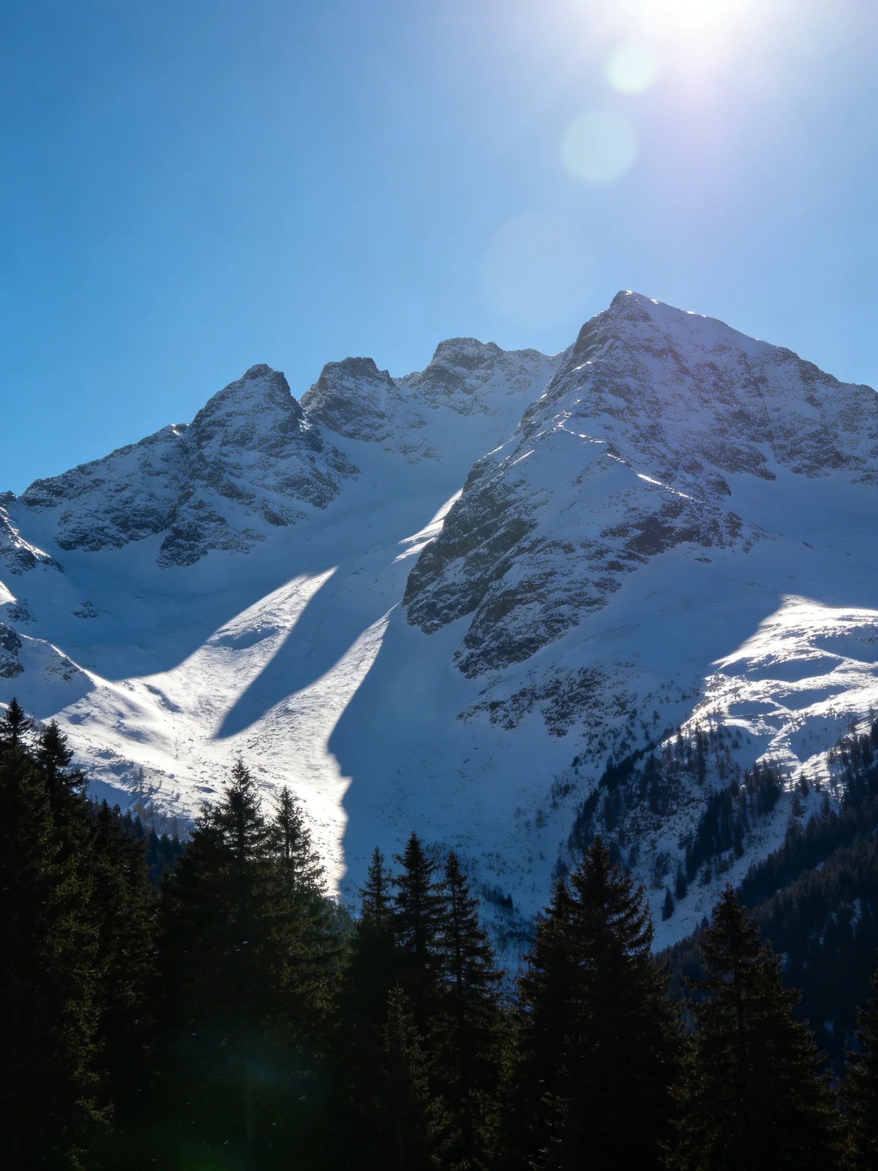 Snow-laden mountain peaks contrast with dark evergreen forests under a bright blue sky.
