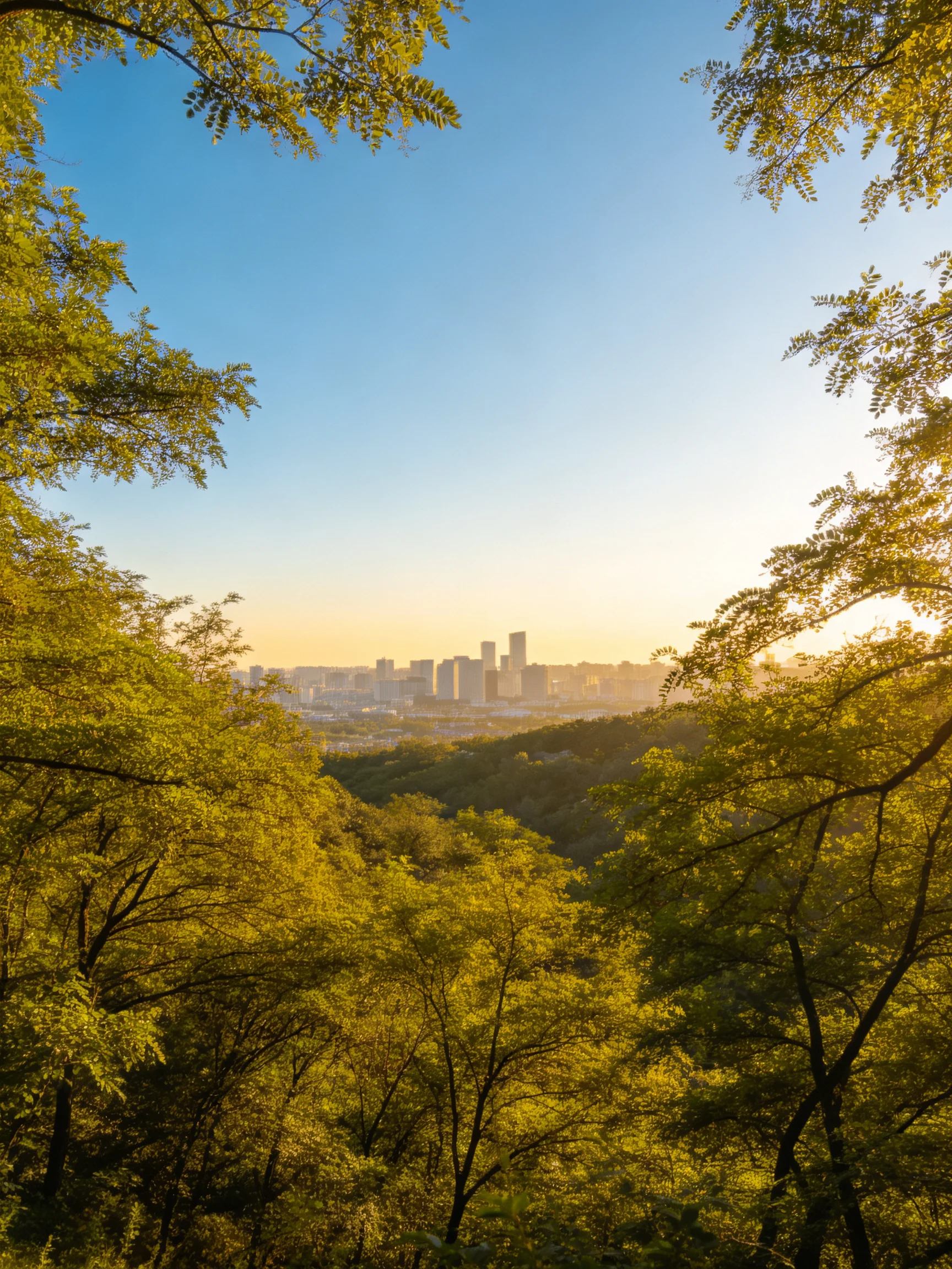 Sunlit Forest View with City Skyline