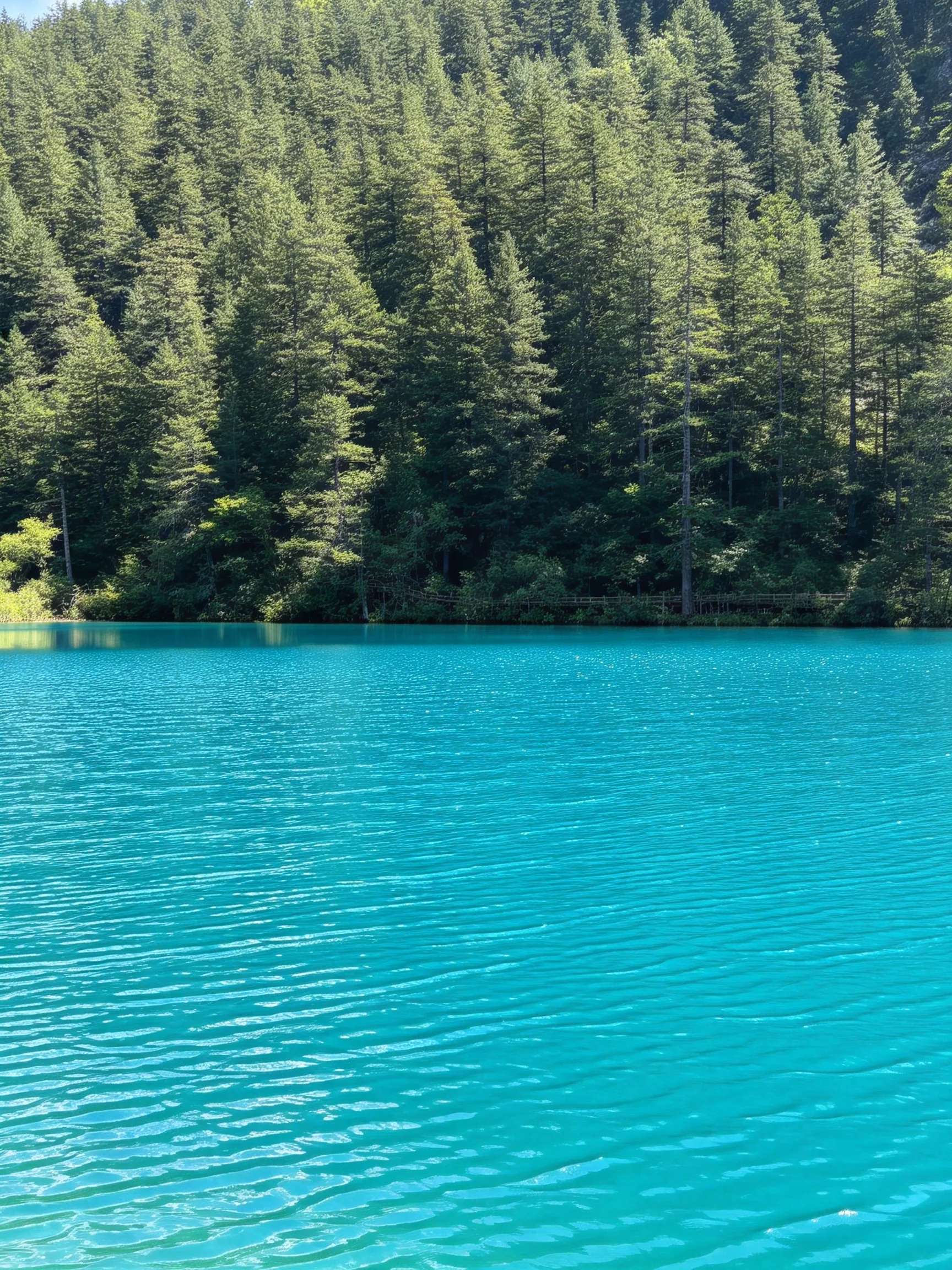 Turquoise lake nestled among dense evergreen forests