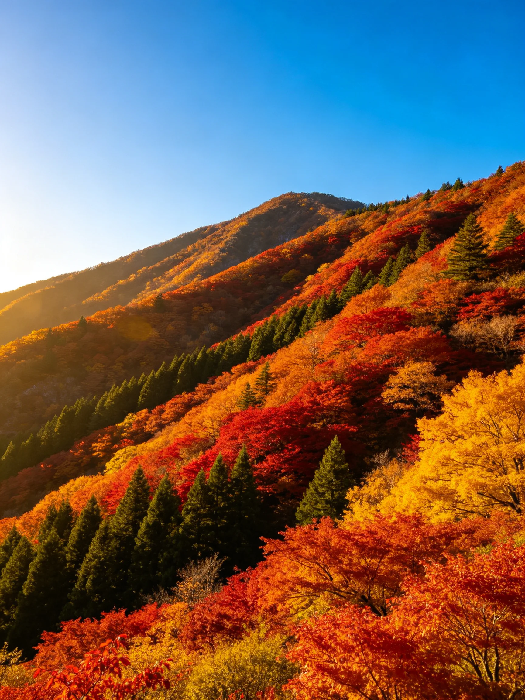 Vibrant autumn foliage blankets rolling hills under clear blue sky