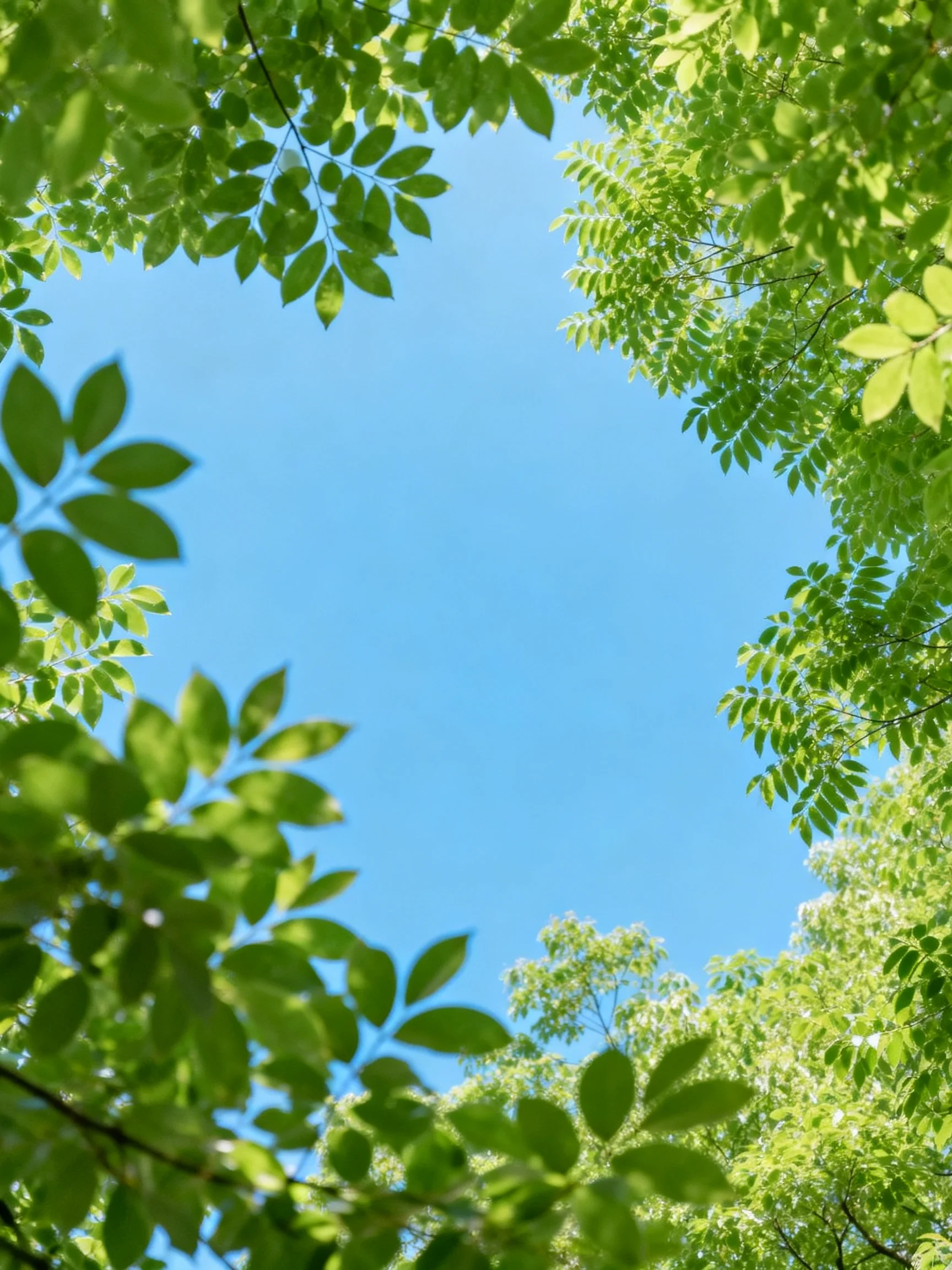 Vibrant green leaves frame a clear blue sky