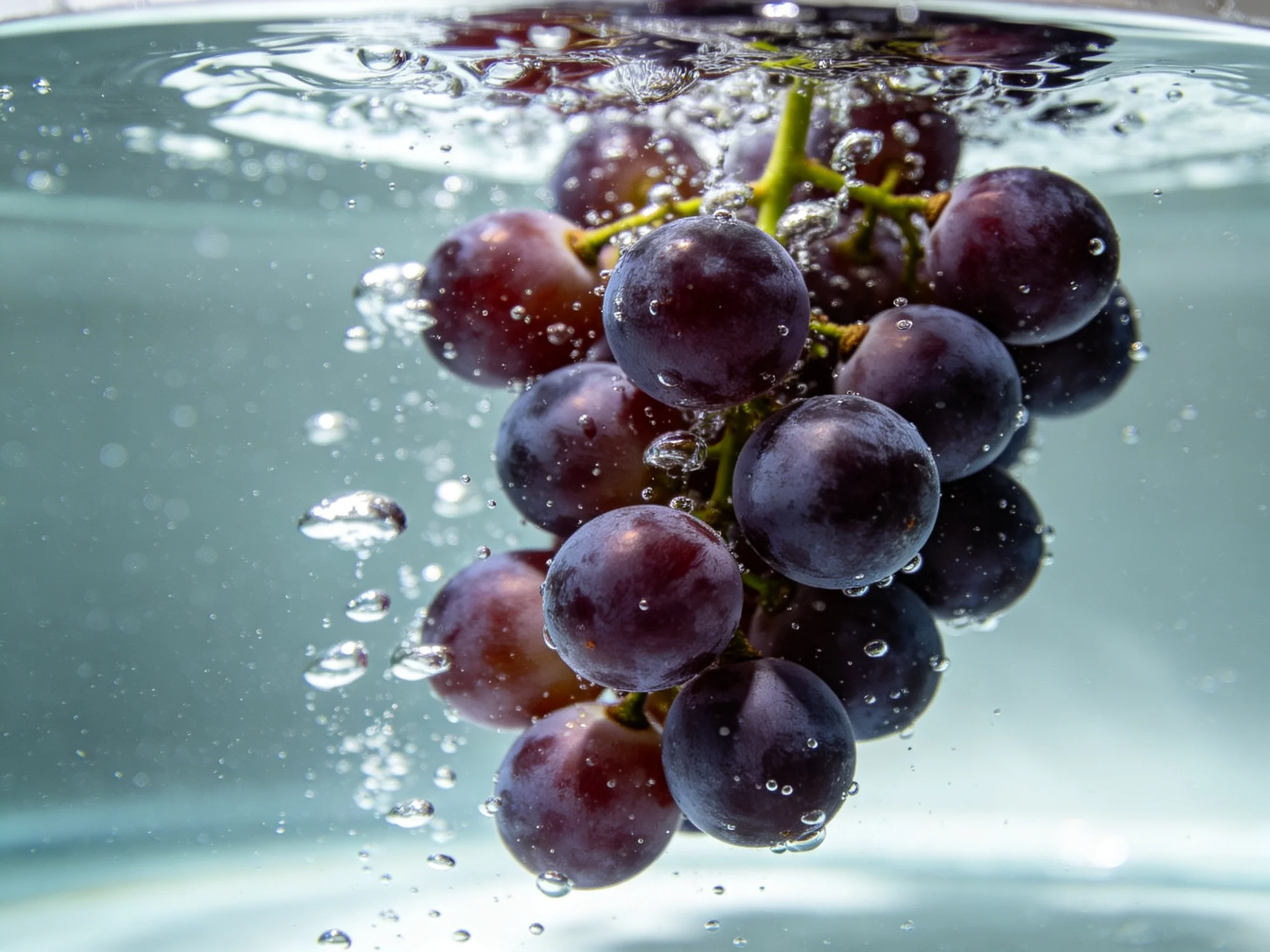 A cluster of deep purple grapes submerged in clear water with bubbles