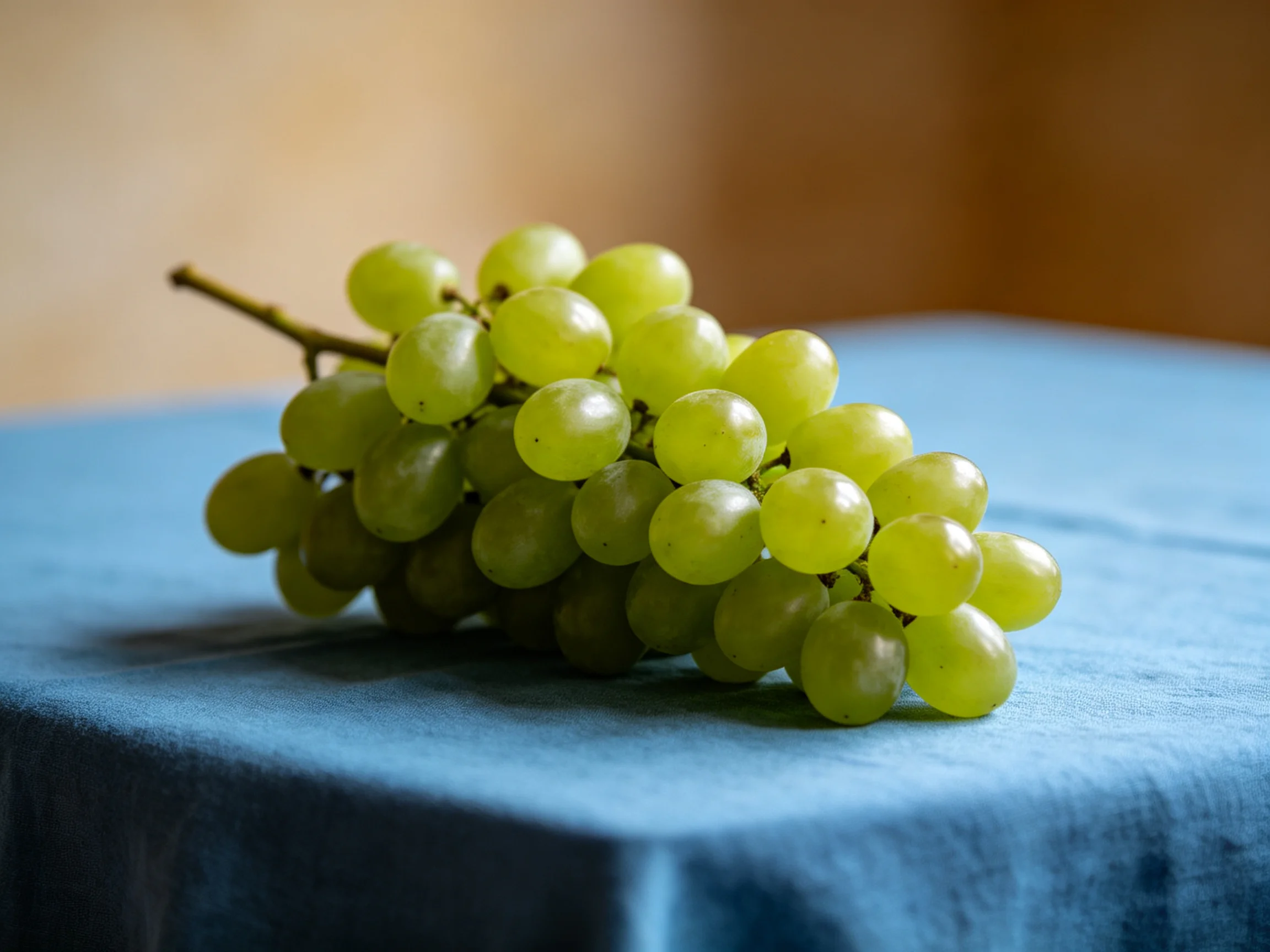 A cluster of fresh green grapes sits on a blue cloth surface