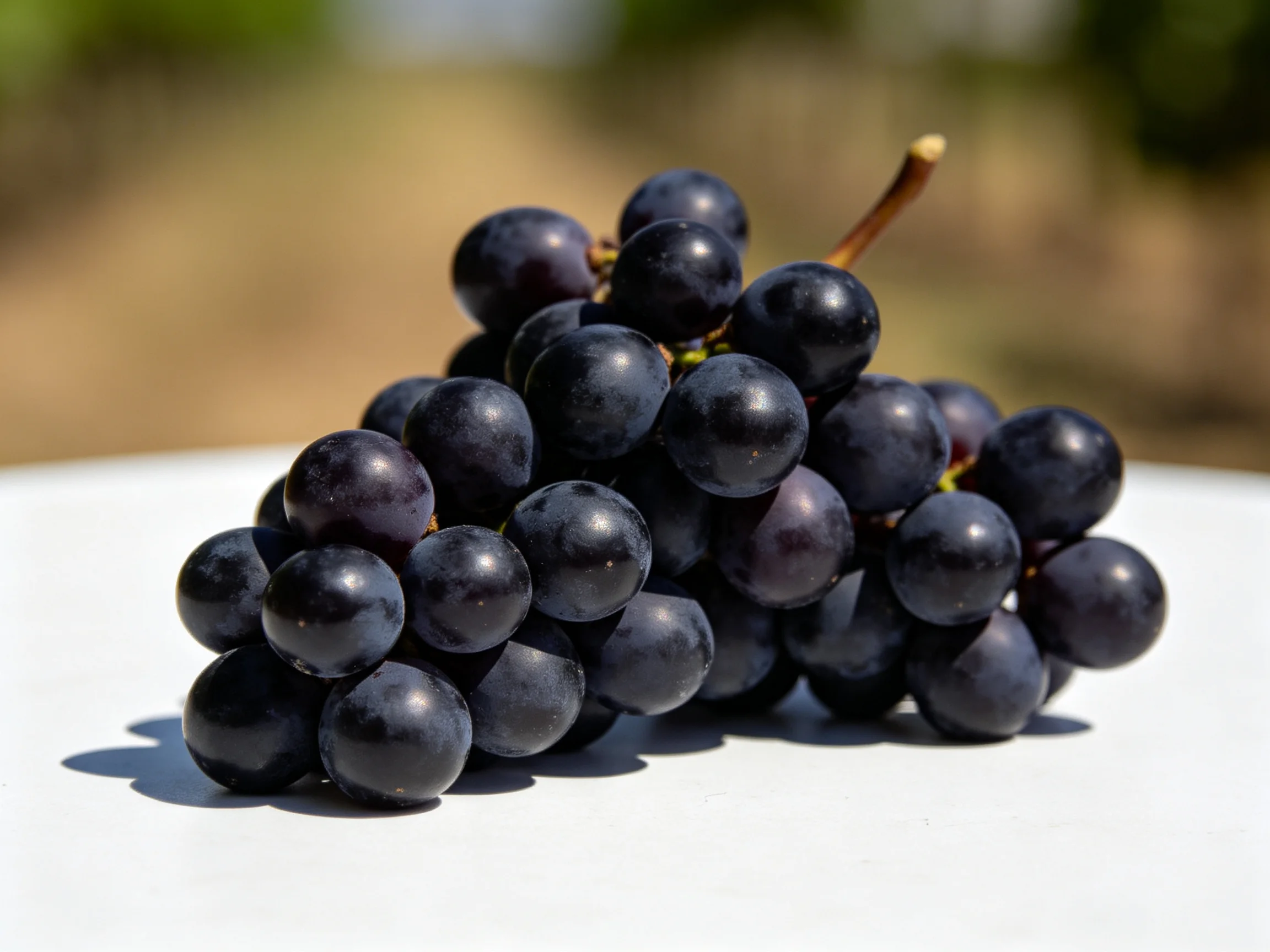 A cluster of glossy, deep-purple grapes arranged on a white surface
