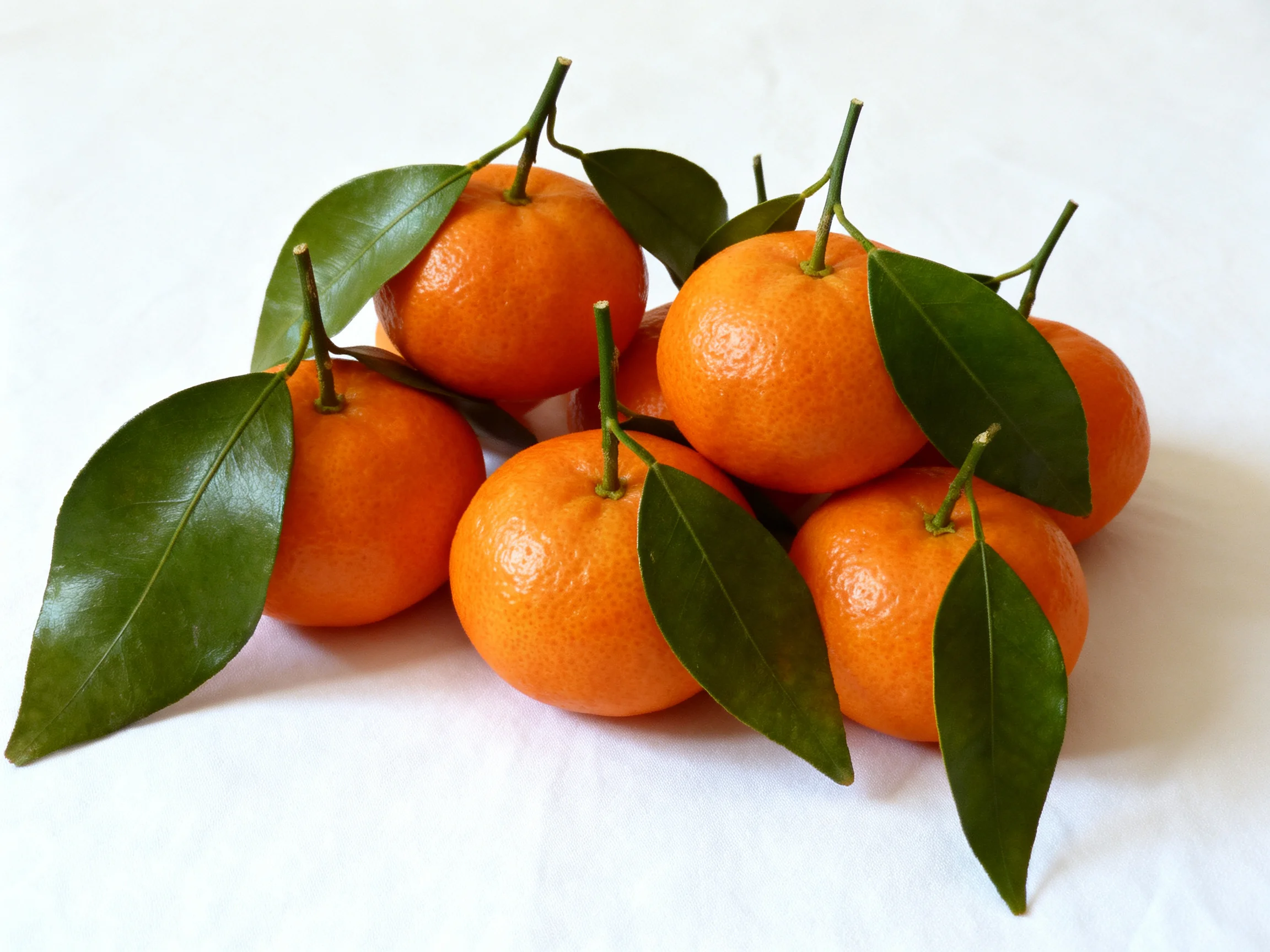 A cluster of vibrant orange tangerines with glossy green leaves