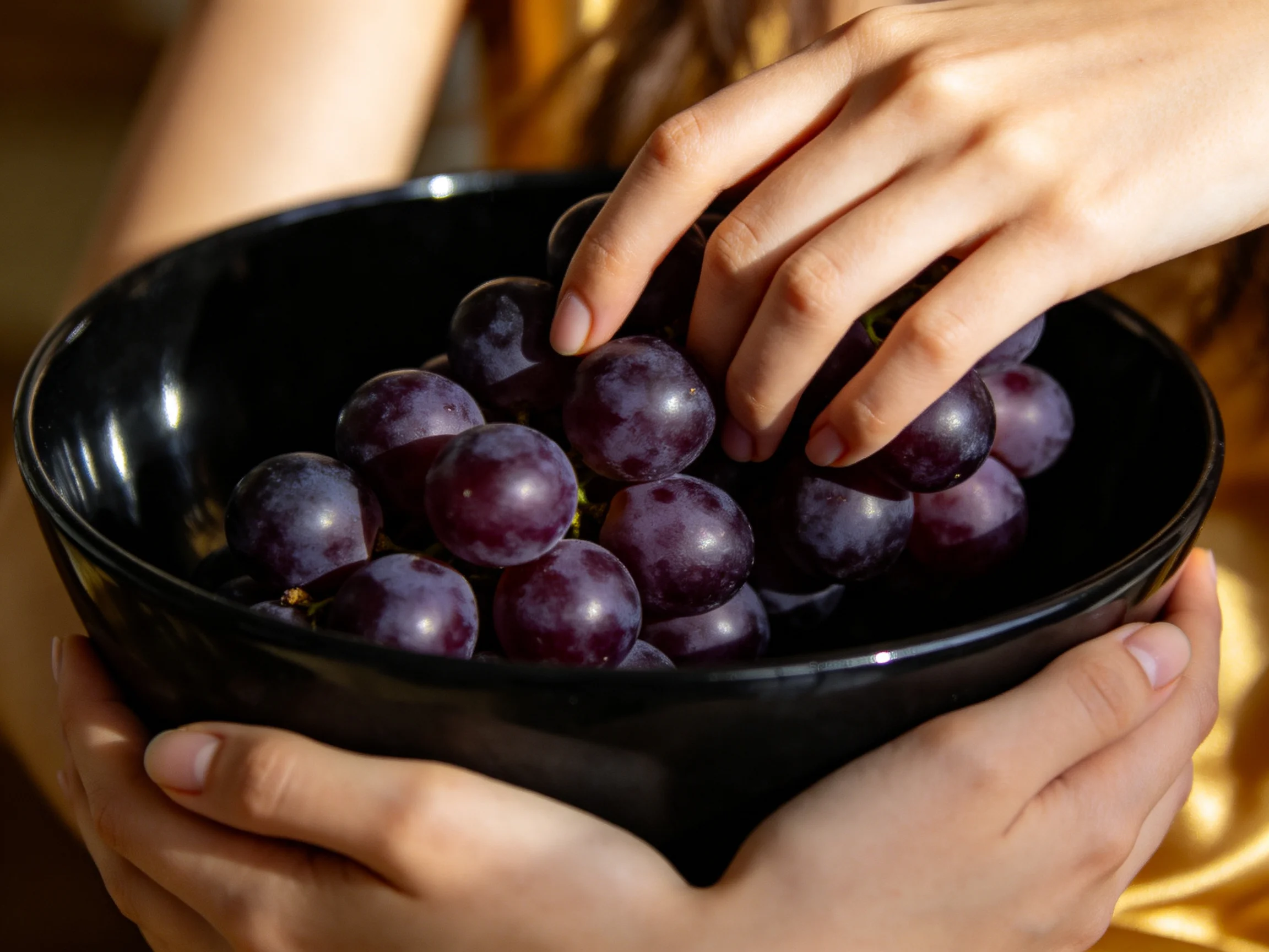 A glossy black bowl holds numerous plump purple grapes being handled